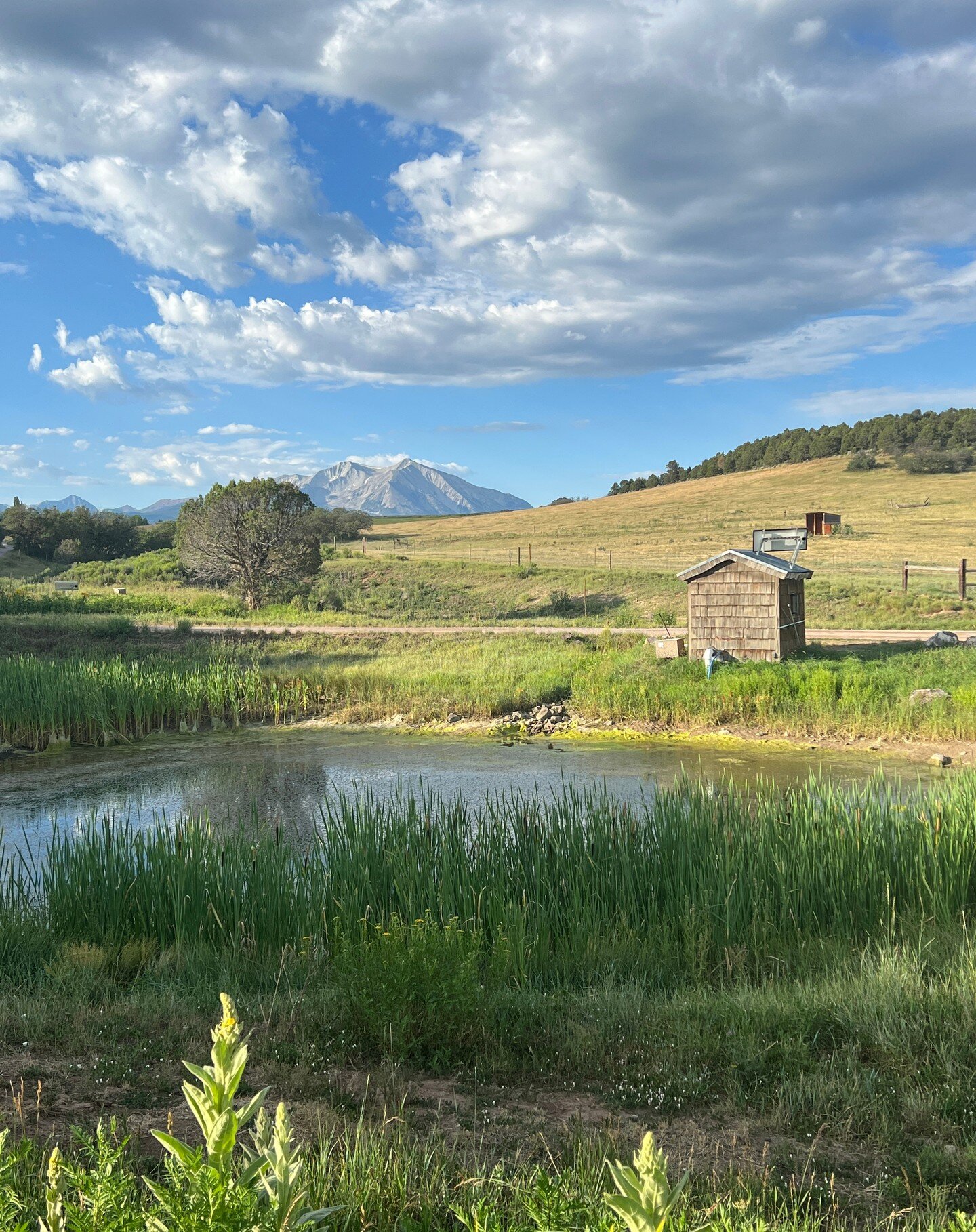 Eight screenings of #ADecentHome in eight days in #Colorado: 
📍 Boulder
📍 Longmont
📍 Leadville
📍 Golden
📍 Breckenridge
📍 Edwards
📍 Carbondale 
📍 Gunnison.

Thanks to all of our partners -- @thistlecommunities, @theciviccanopy, @9to5colorado, 