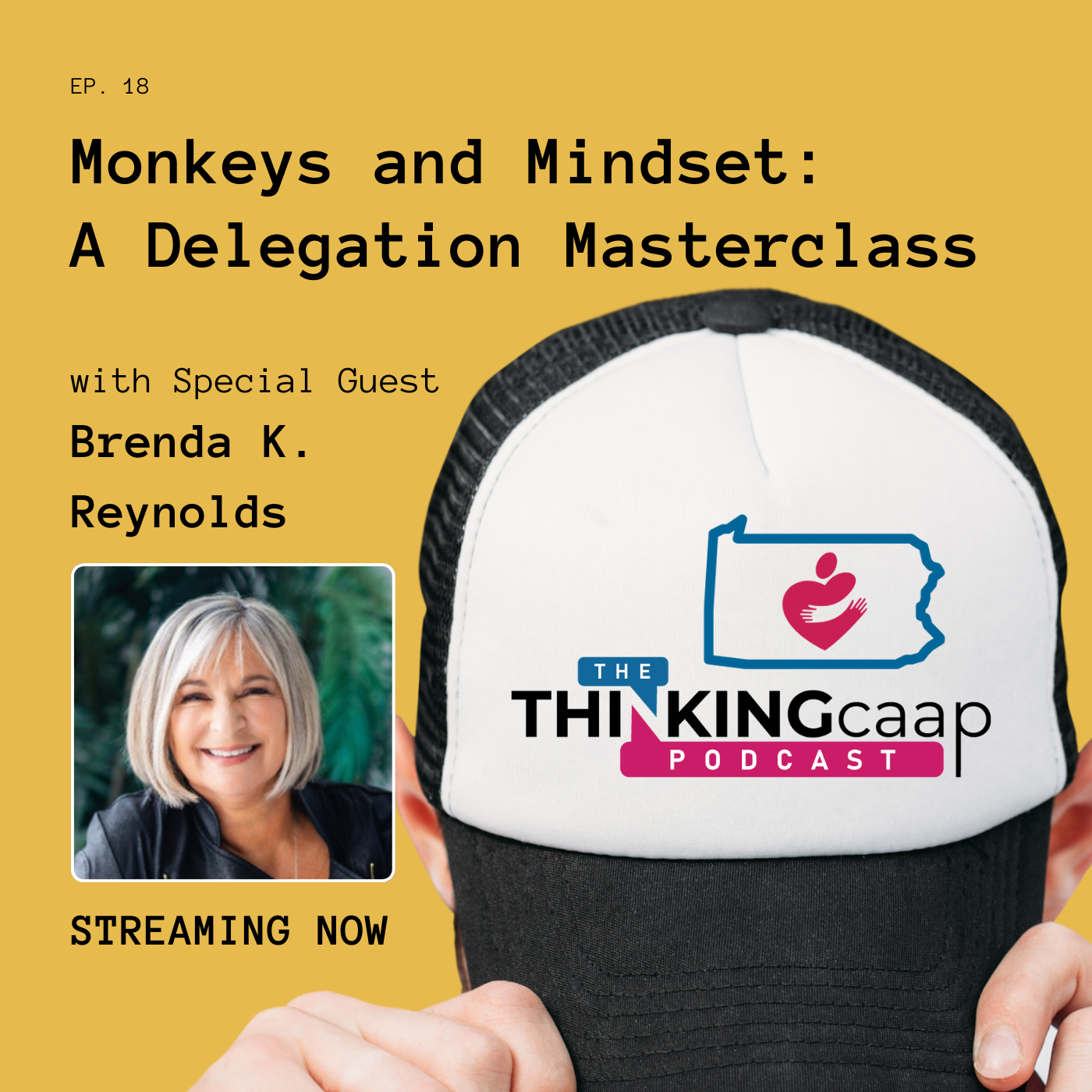 Monkeys and Mindset: A Delegation Masterclass