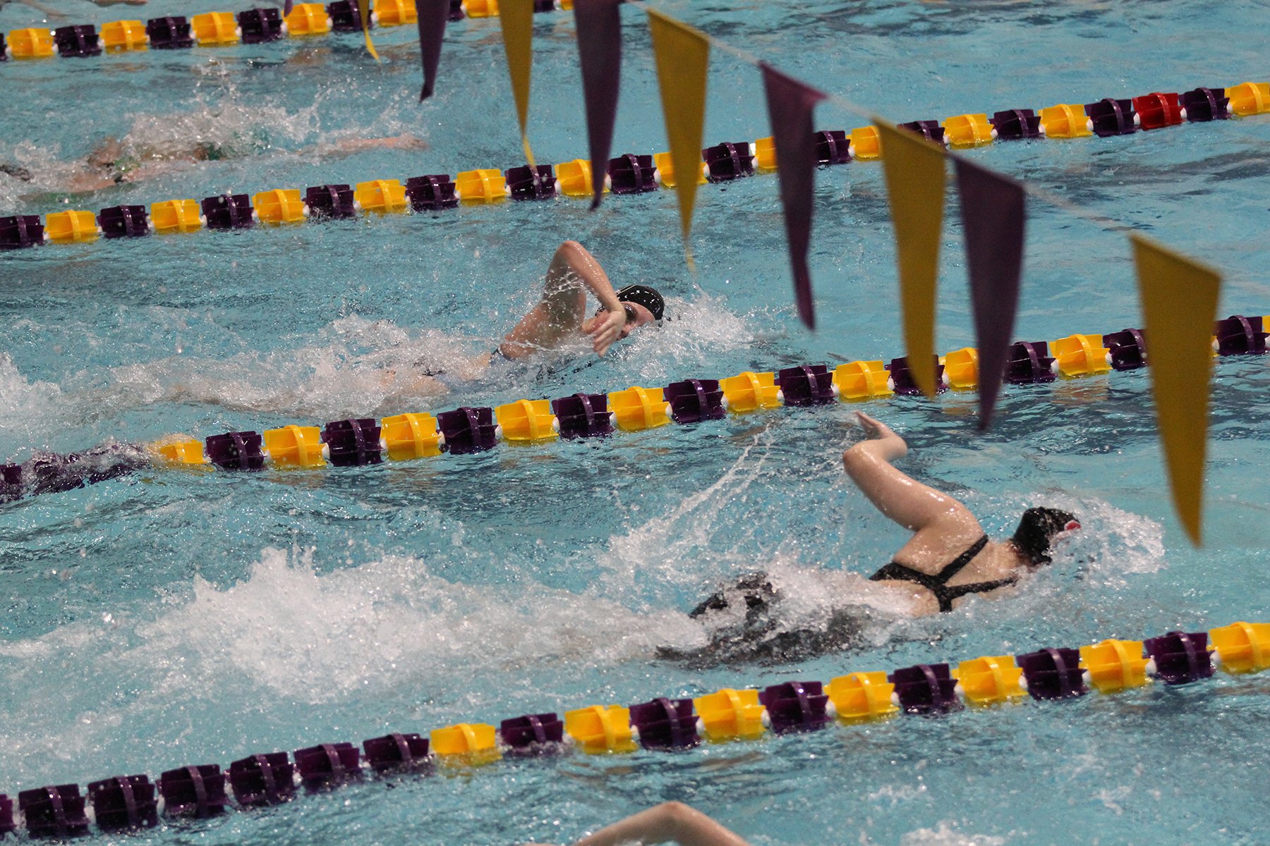 Image of swimmers in lanes racing