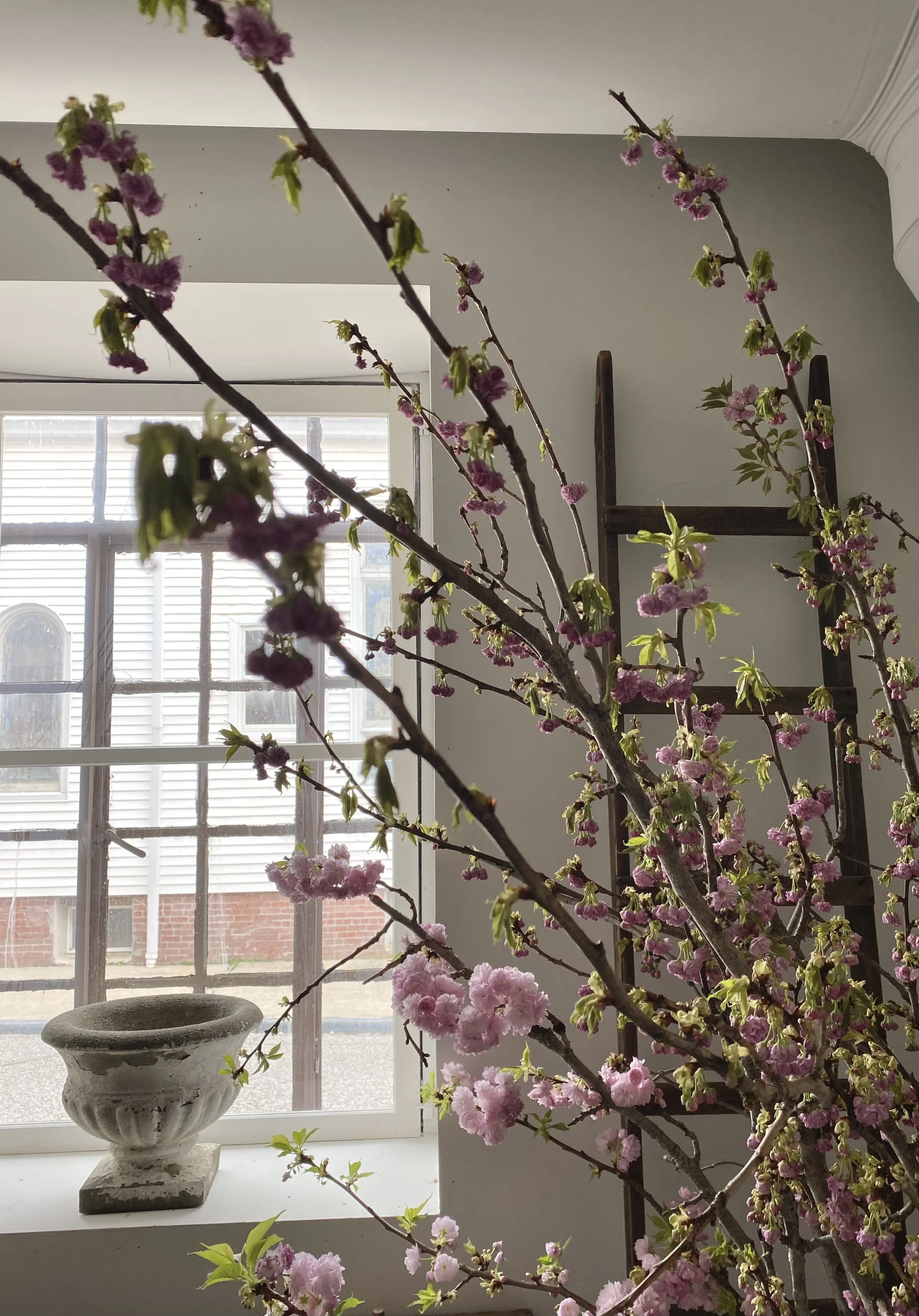 White Flower Farmhouse