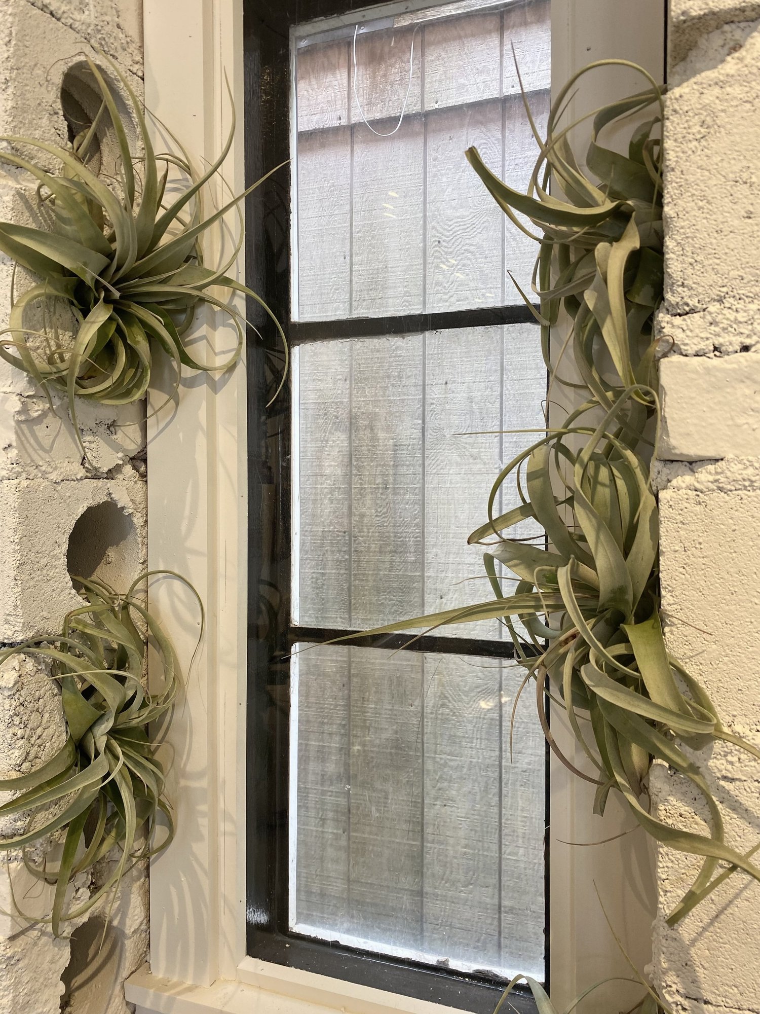 White Flower Farmhouse