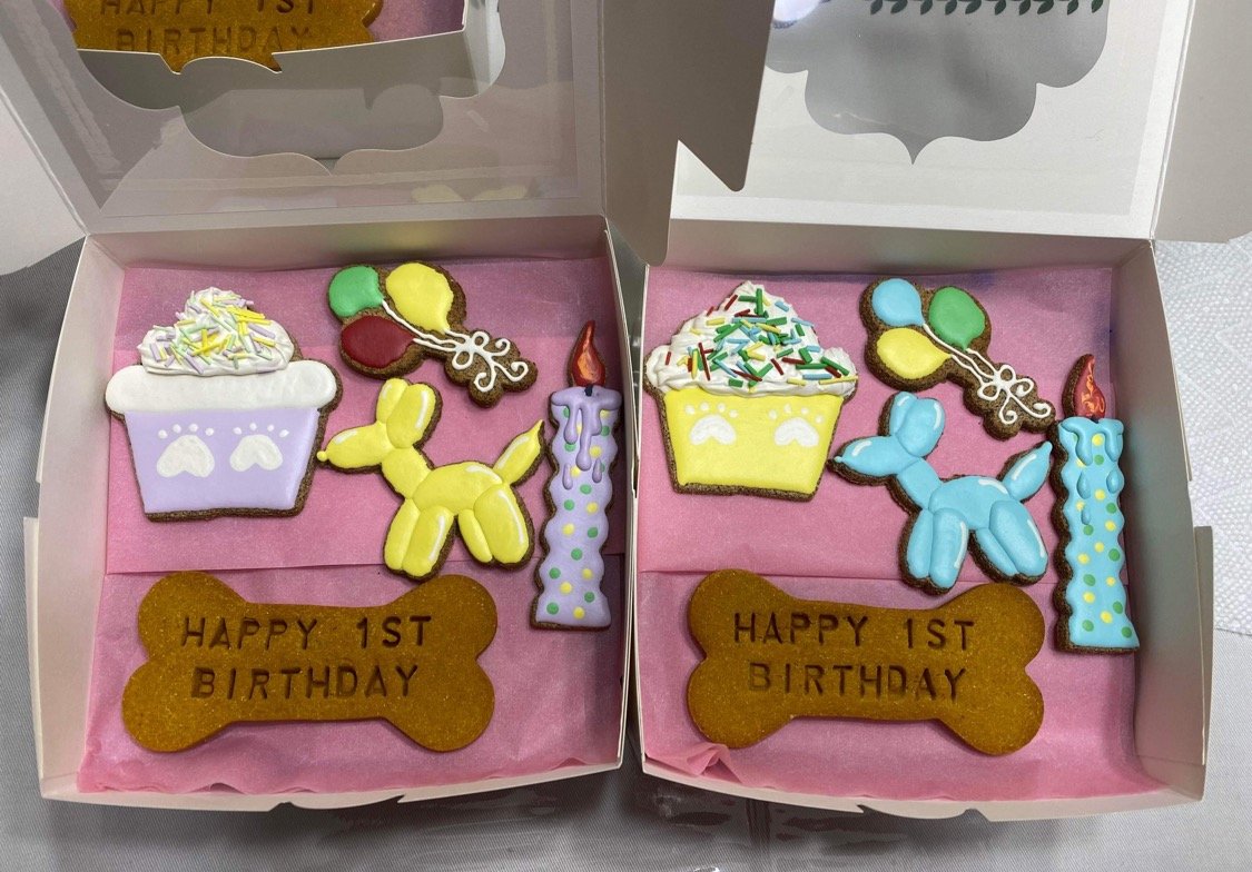 Birthday Boxed Treats