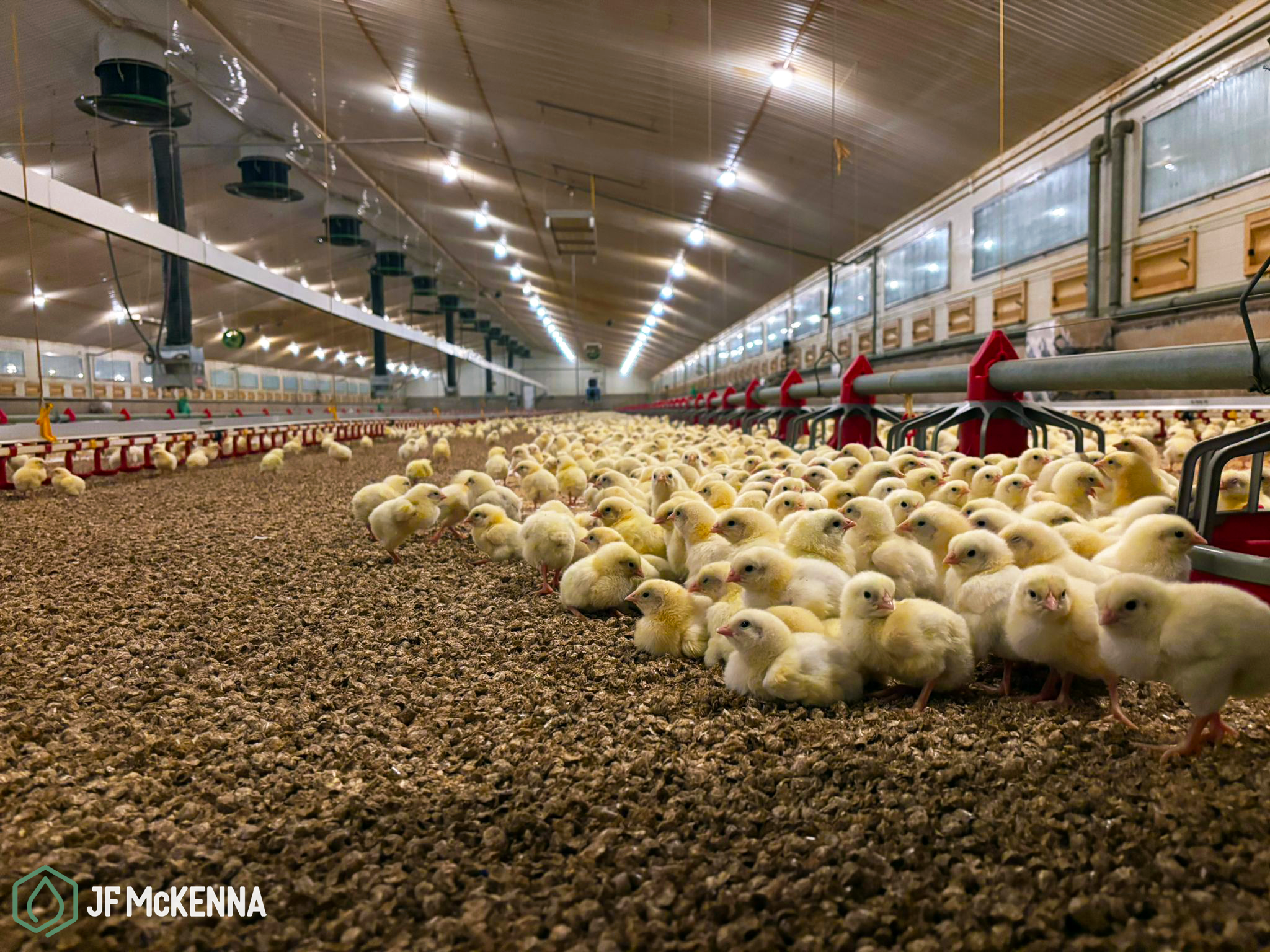 WhatsApp Image 2025-01-30 at 16.54.02_6ef1f49f.png