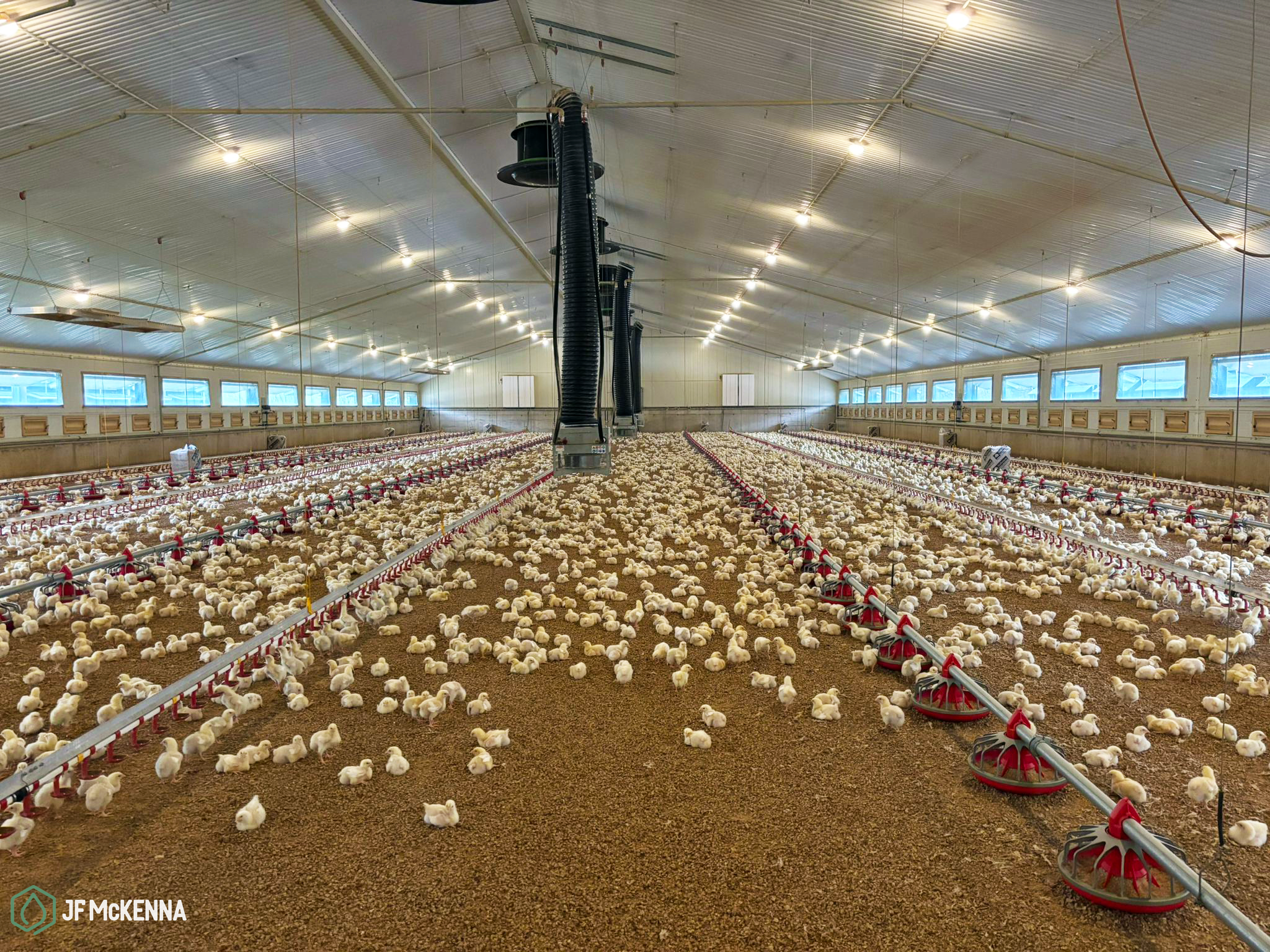 WhatsApp Image 2025-01-30 at 16.54.03_c9e2bd2c.png