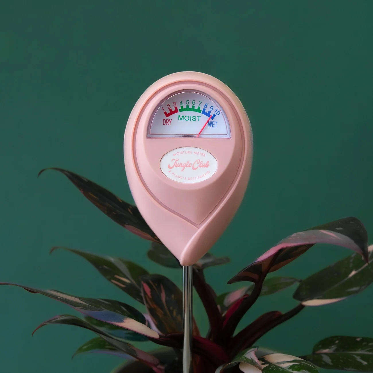 Jungle Club Moisture Meter