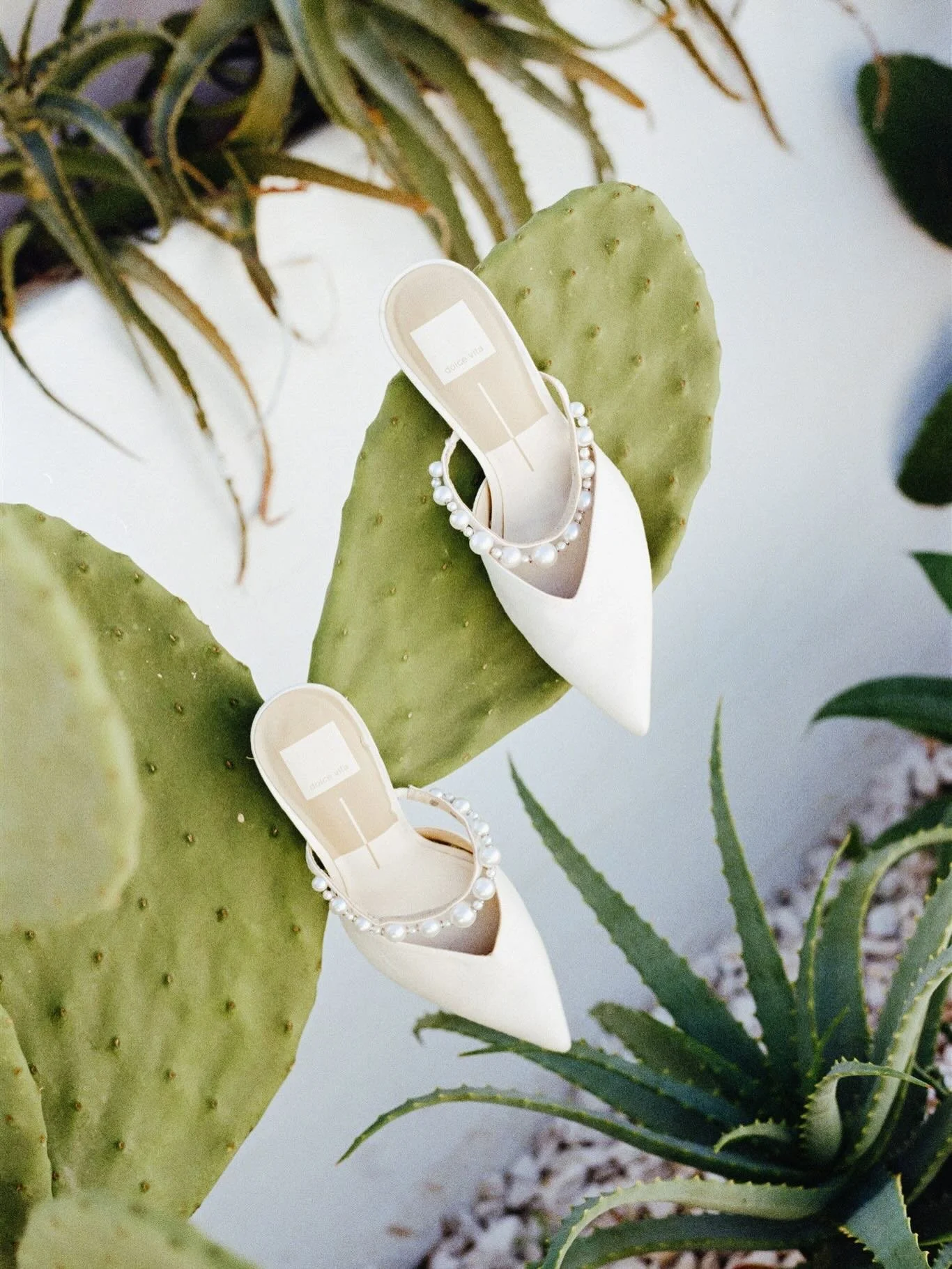 Some 35mm film scans from the most beautiful Italian celebration with Rachael and James back in September. The vibrancy and vibes of this weekend were absolutely sensational ✨

Photographer @laurenelizabethphotographer 
Venue @masseriaborgoritella 
P