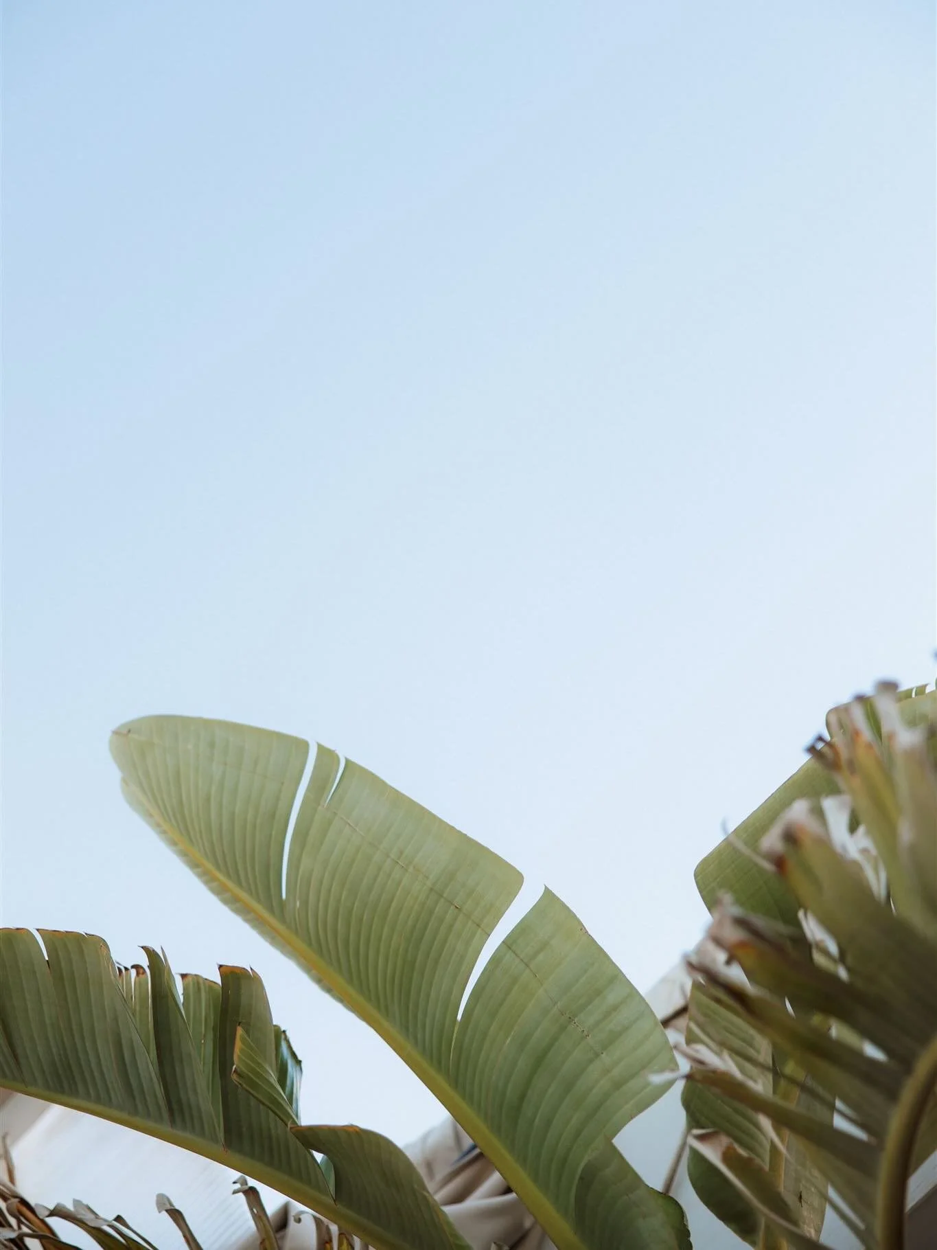 Seven days into newborn life and still soaking up every second. 

Whilst the baby girl has her afternoon nap I&rsquo;m working through enquiries, sending out pricing guides, and getting back to you all ✨

So many London wedding enquiries lately (whic