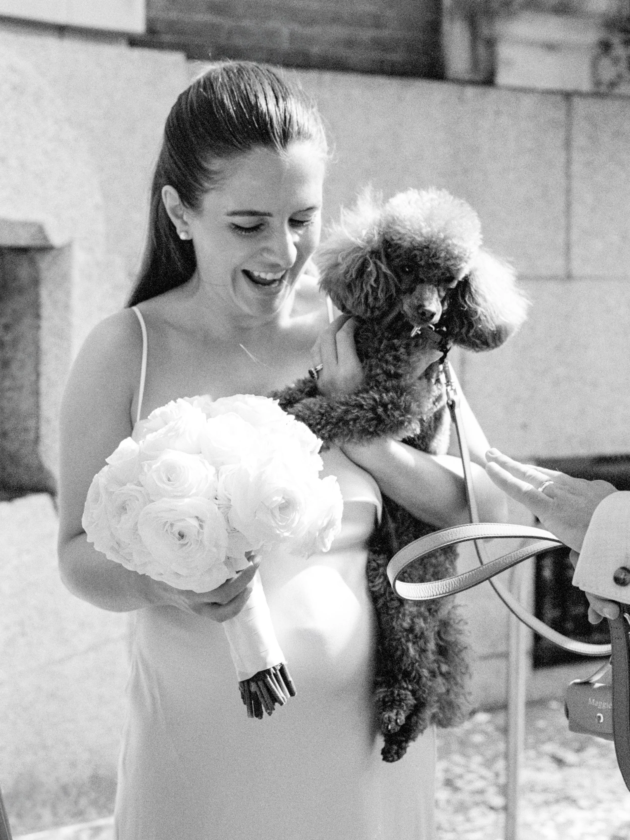 More poodles at weddings please