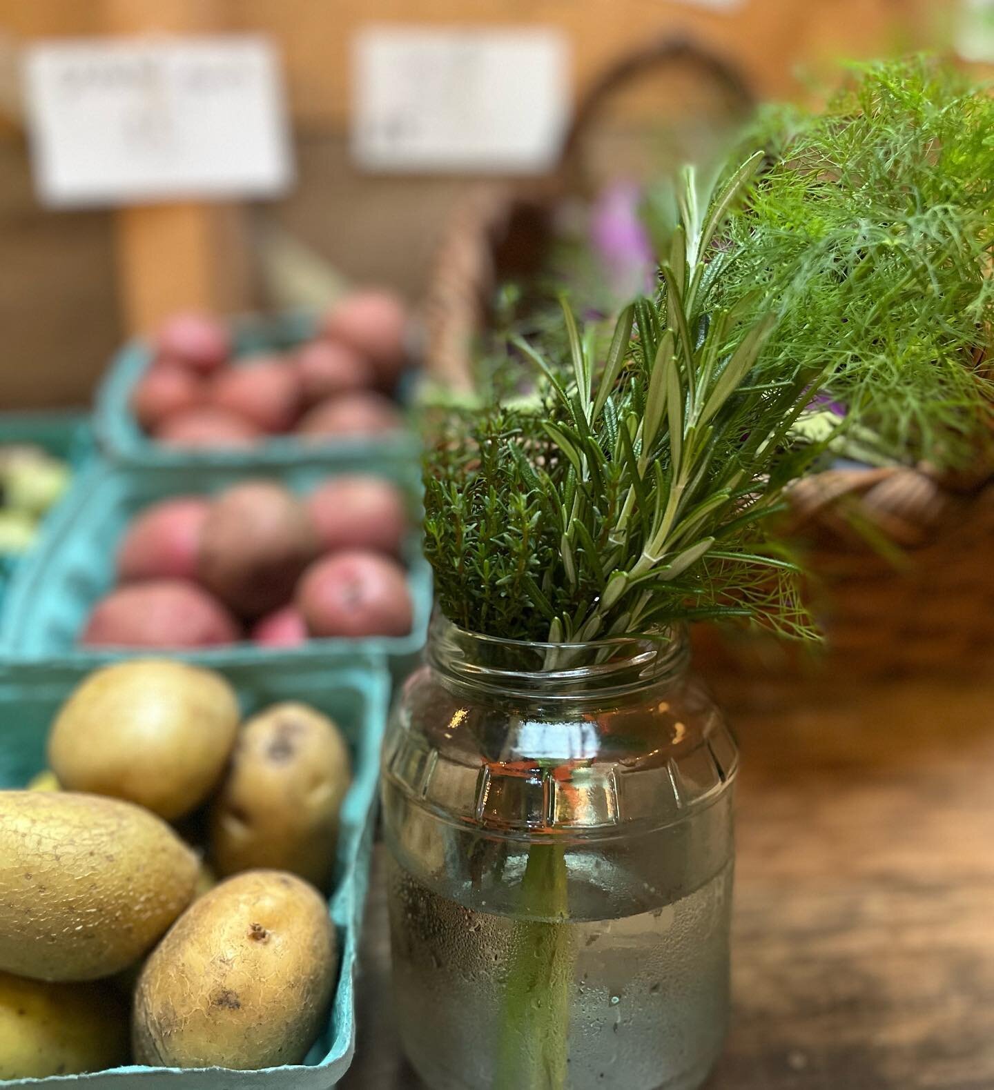 fresh herbs + food as medicine 

My early days as an herbalist included very few culinaries: i was focused on herbal medicine in the form of teas, tonics, and tinctures. But I&rsquo;m the past several years, the humble culinary herb has completely ch
