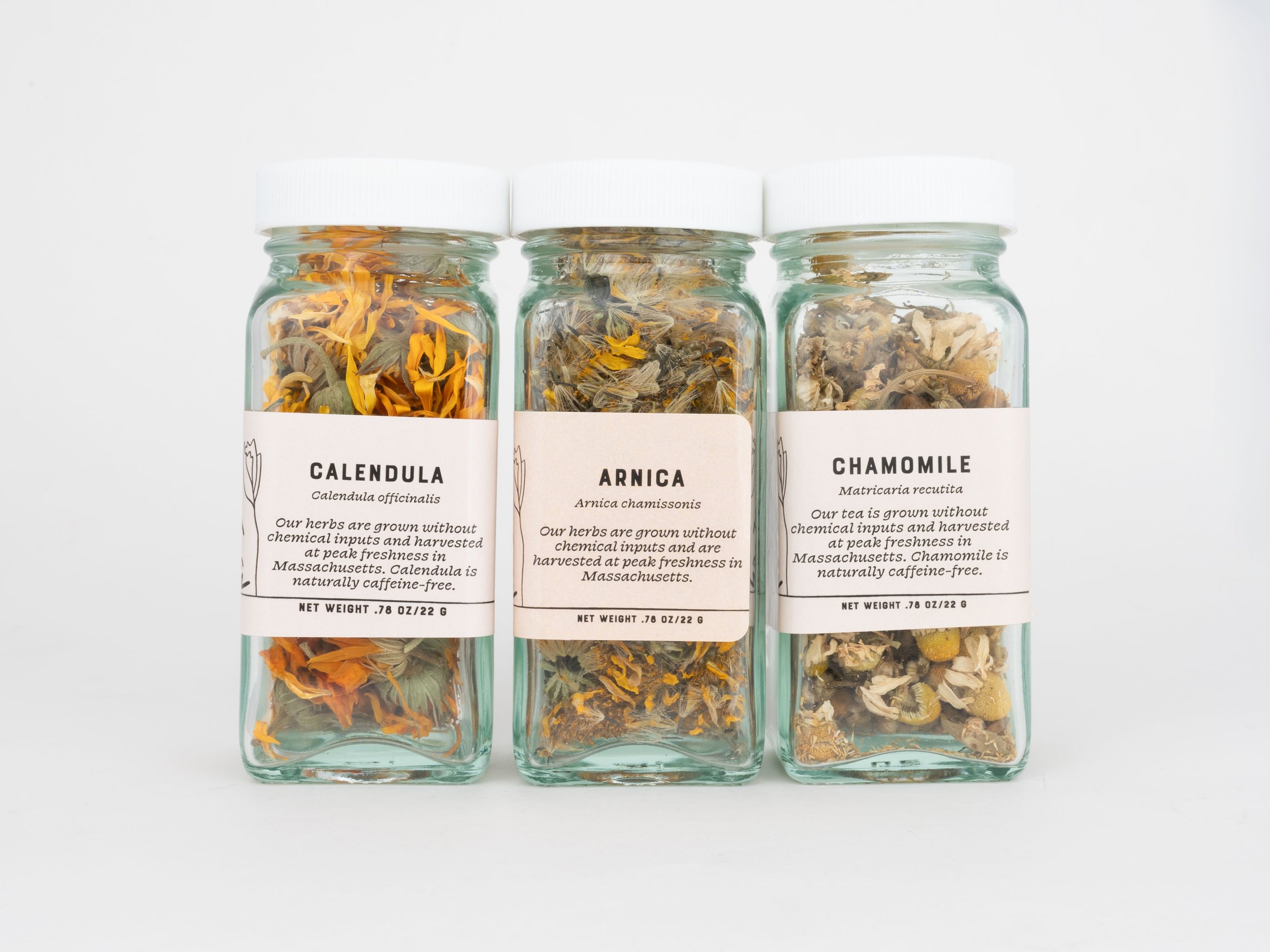 Herbs for First Aid