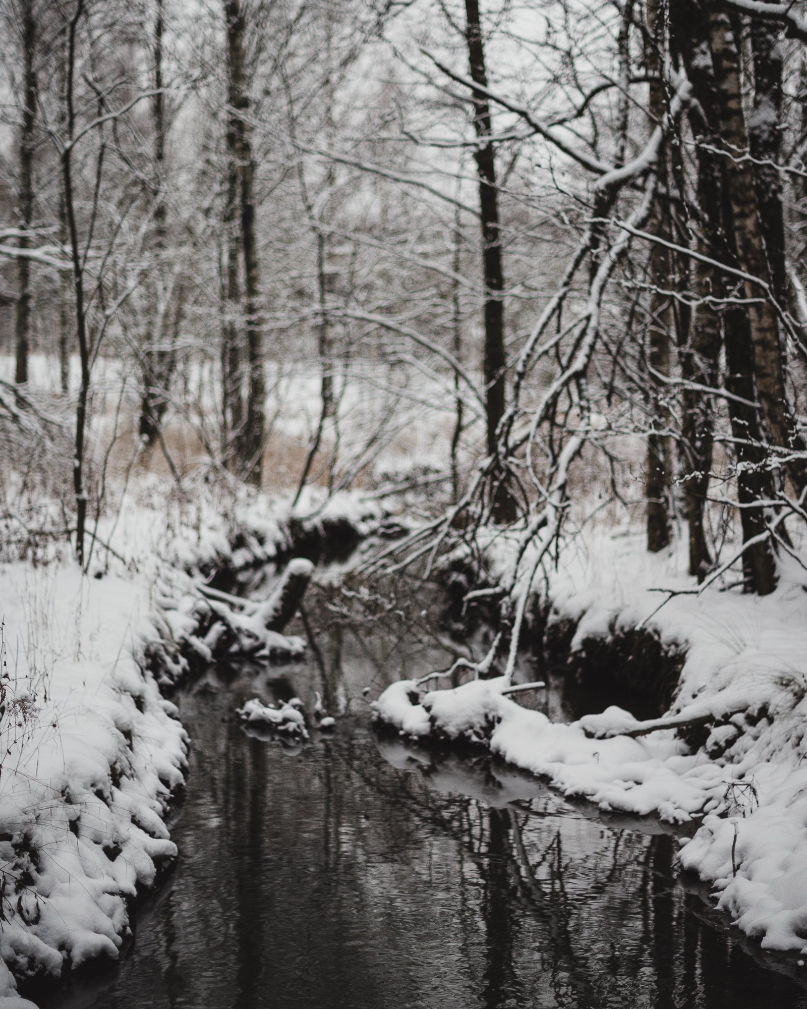Minimalistic winter scene with a dark creek winding between snowy banks.
