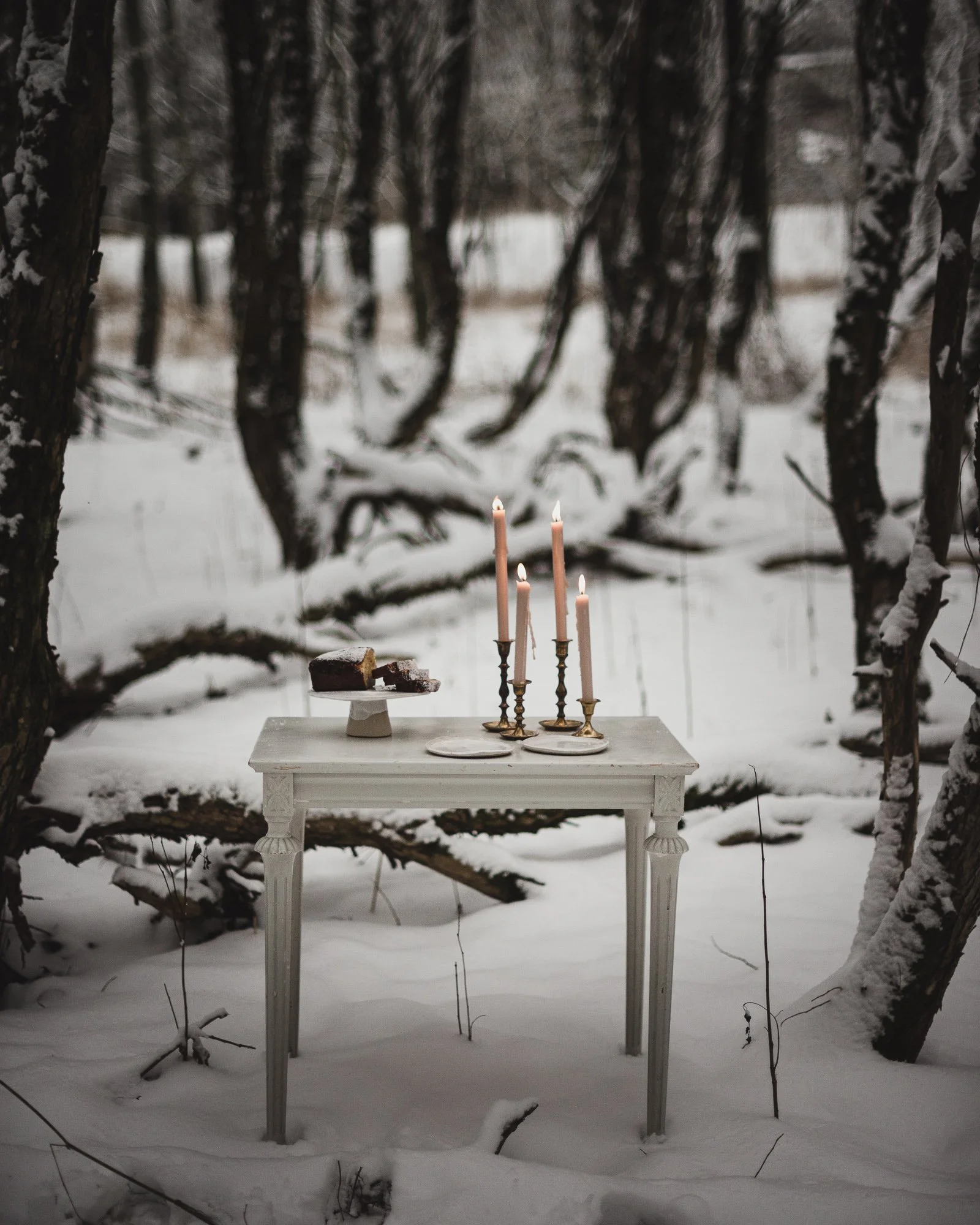 Lit candles placed in forest creating warm contrast to cold white scene.