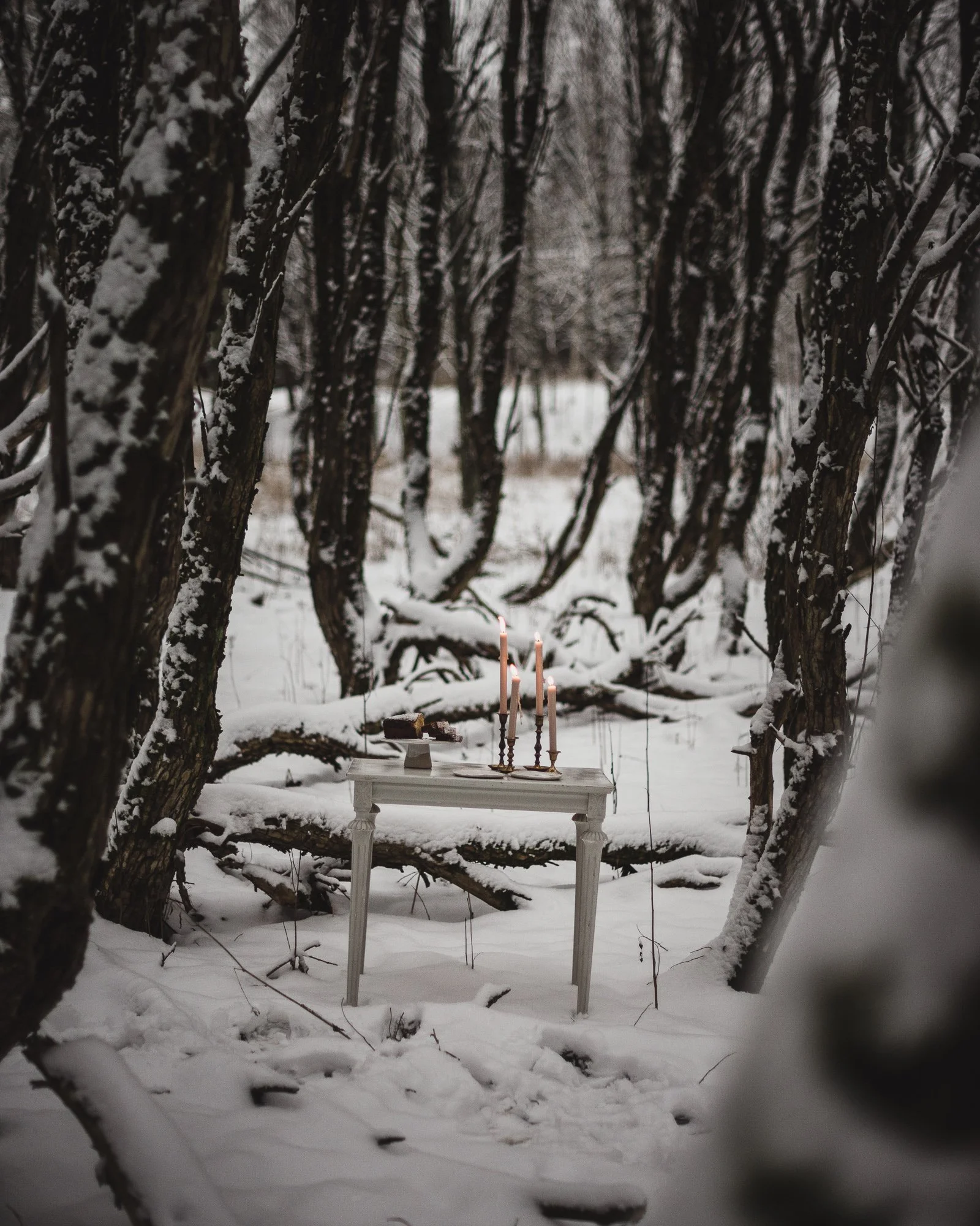 Snowy composition of candles in forest