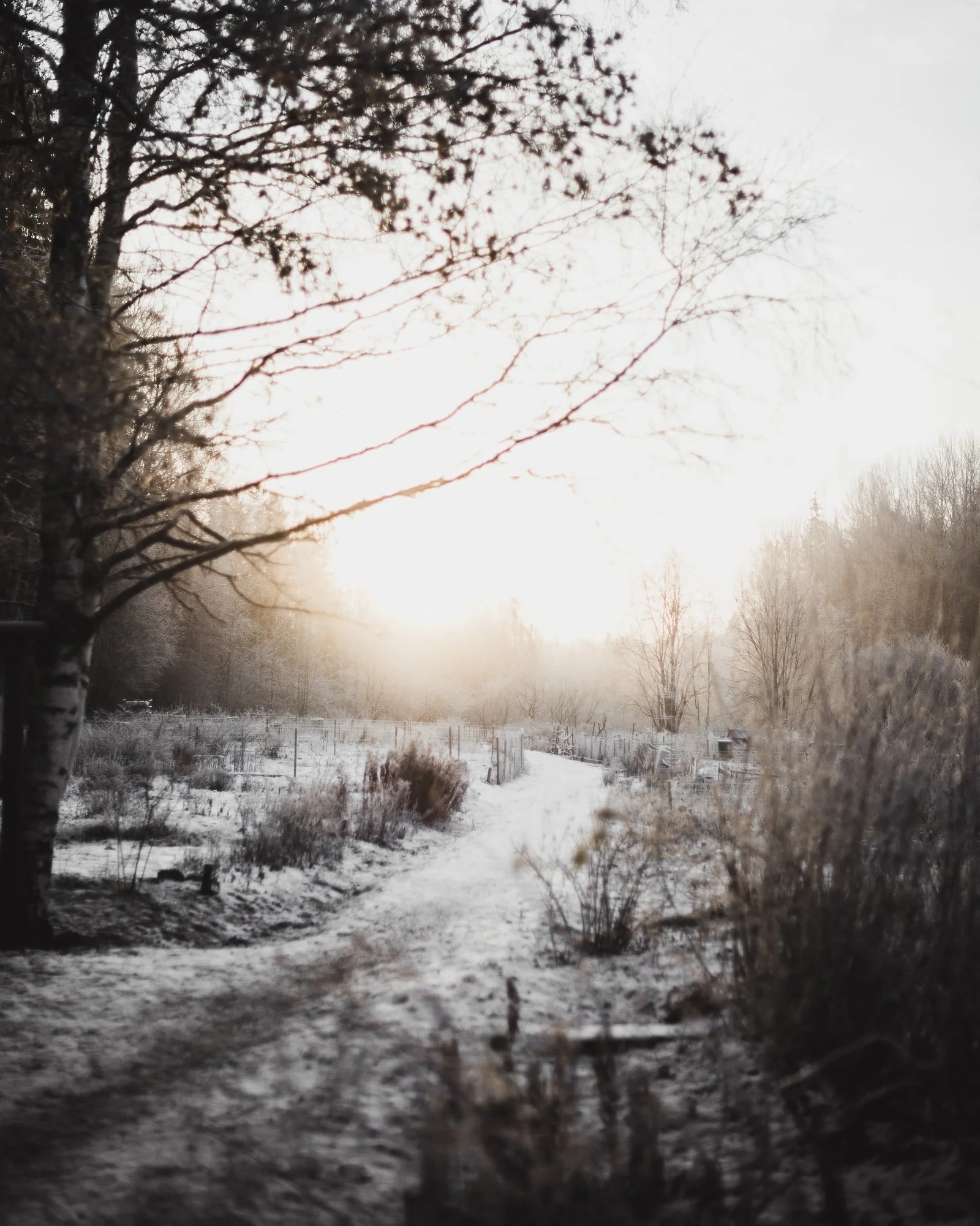 Become a better photographer by defining your success