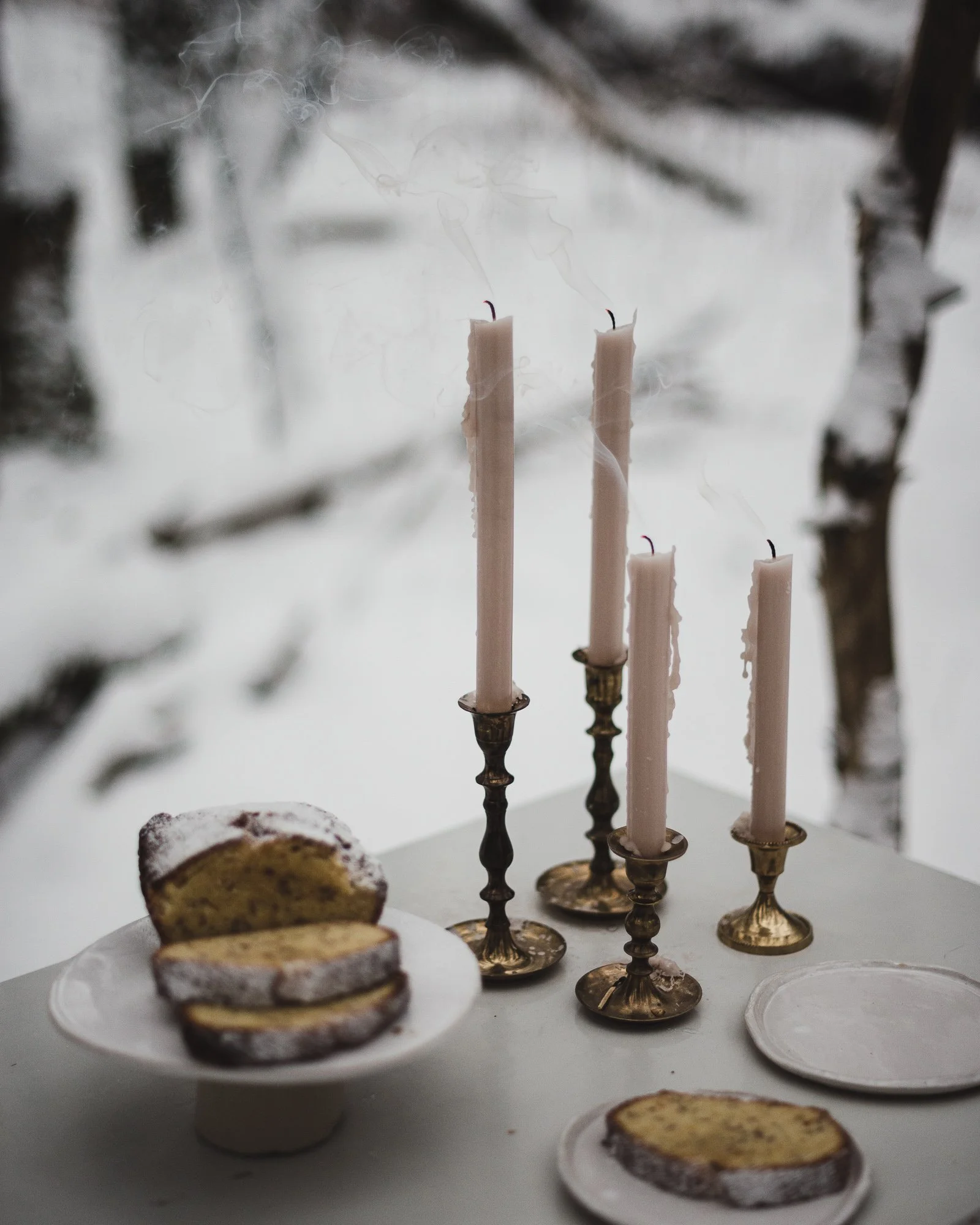 Bare trees and dark branches contrasting against white snow under overcast sky.