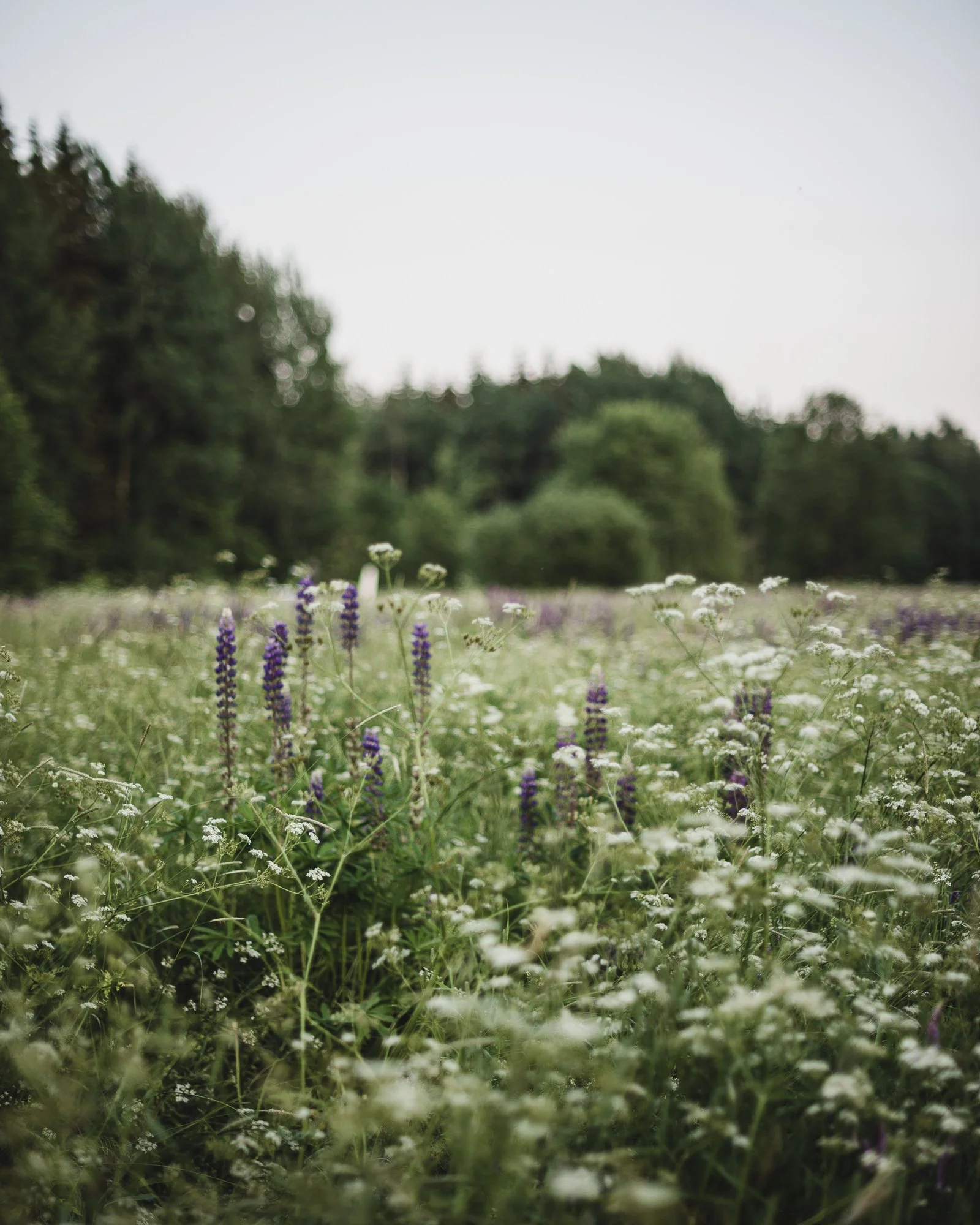 Soulful photos from start to finish