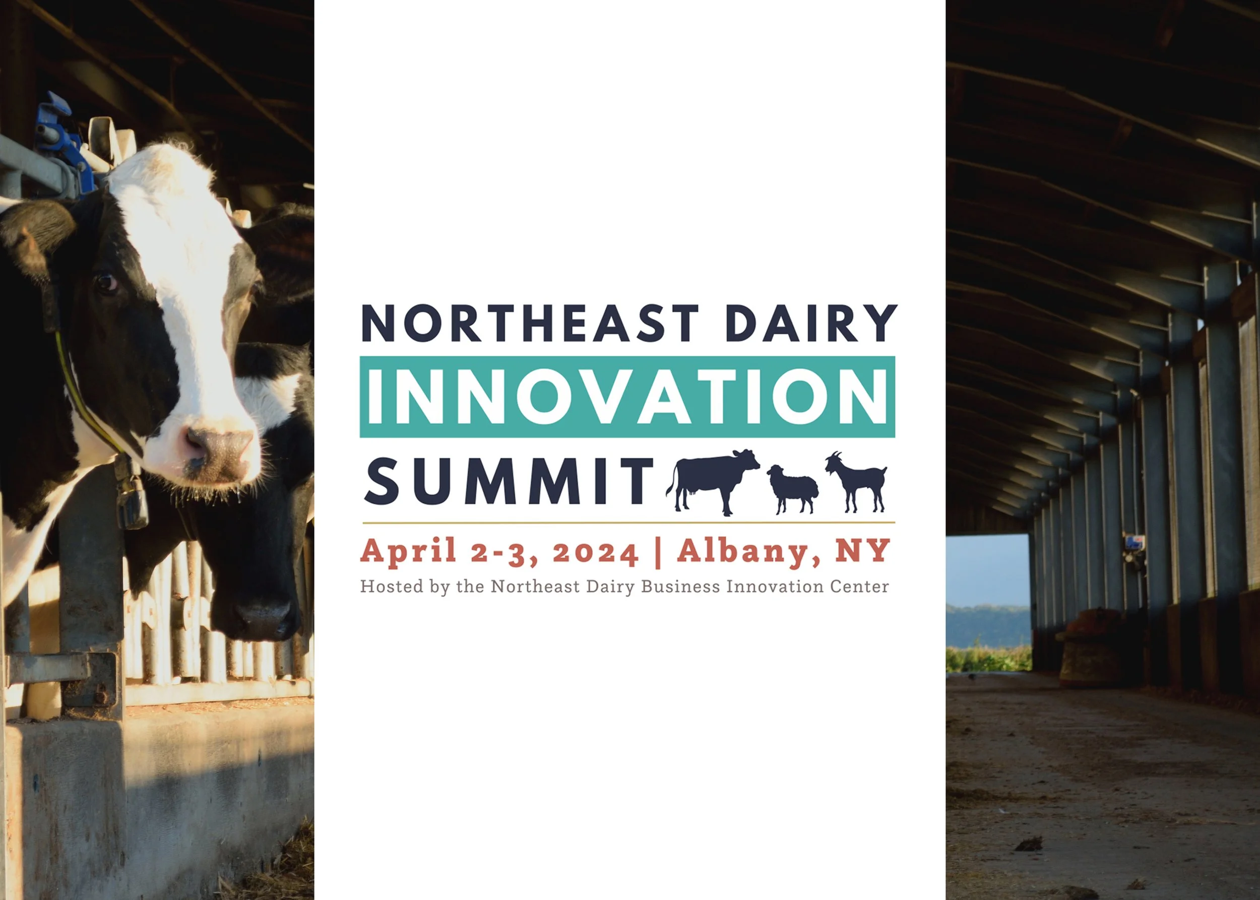Northeast Dairy Innovation Summit