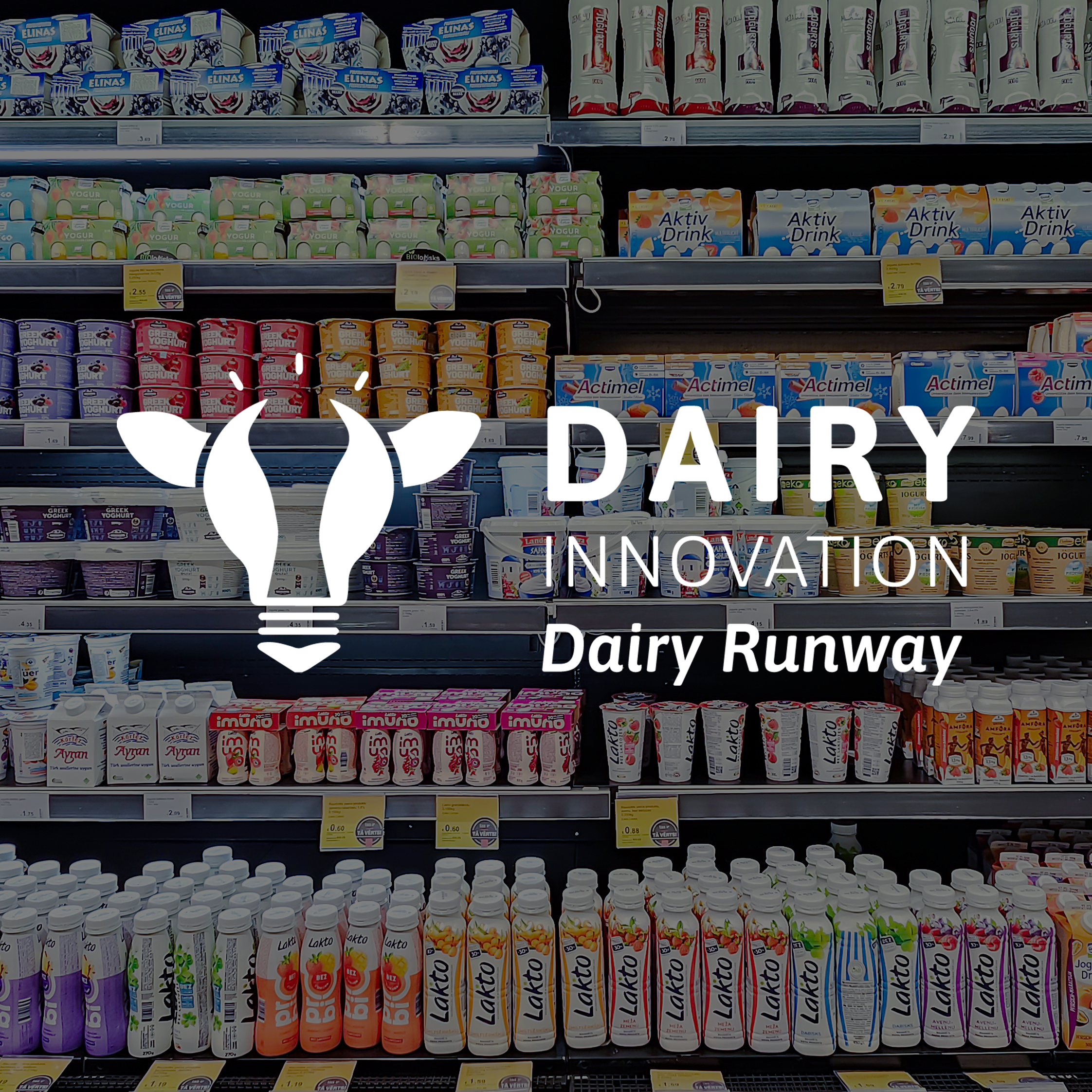 Dairy Runway Northeast - Brand Marketing 101