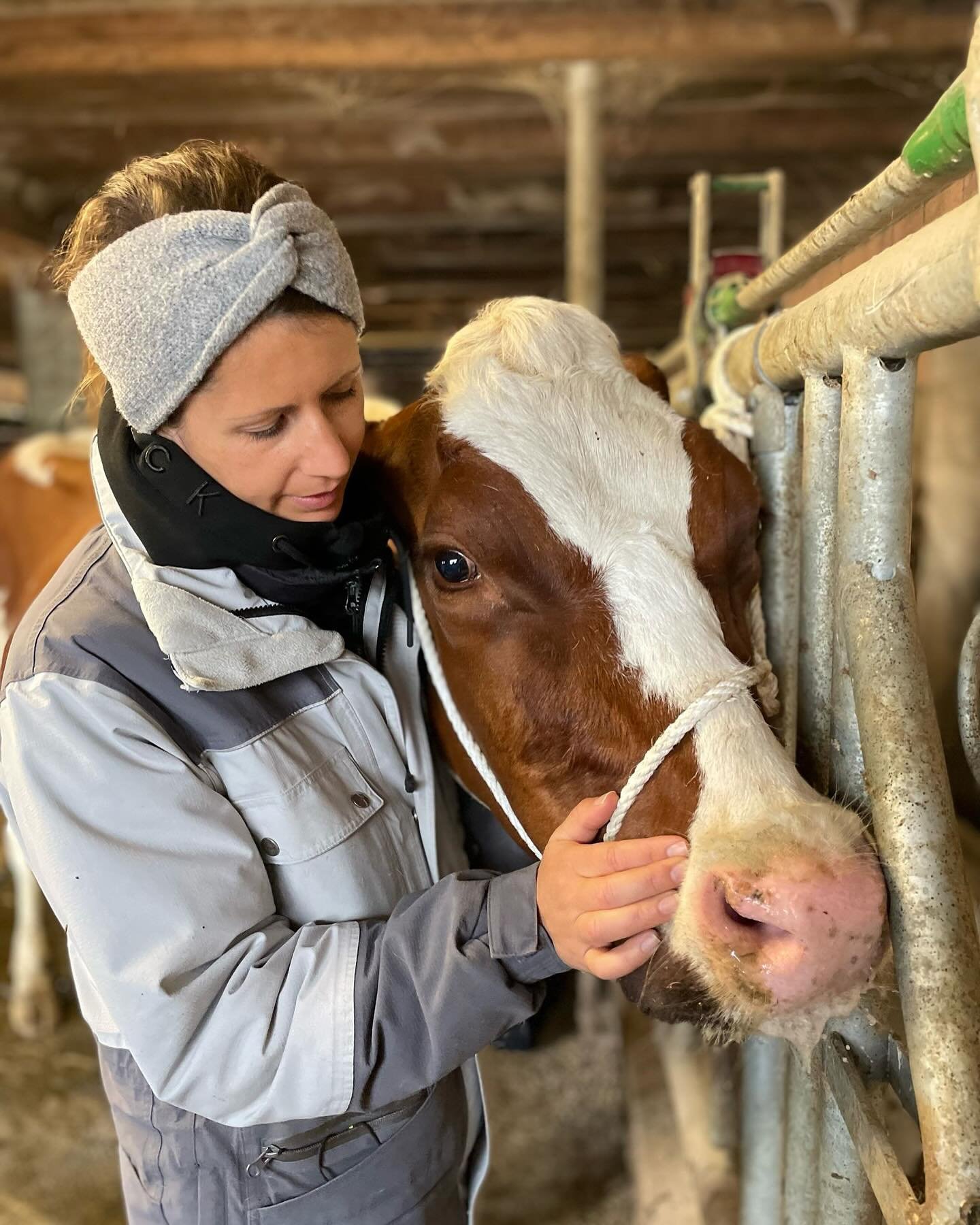 Immer sch&ouml;n wenn ich auch &bdquo;Nutztiere&ldquo; unterst&uuml;tzen darf. 
Auch f&uuml;r mich eine grosse Bereicherung, diese grossen, sensiblen Tiere zu f&uuml;hlen.
Danke f&uuml;rs Vertrauen ✨💕 

#k&uuml;he #tierkinesiologie #nutztiere #kuh #