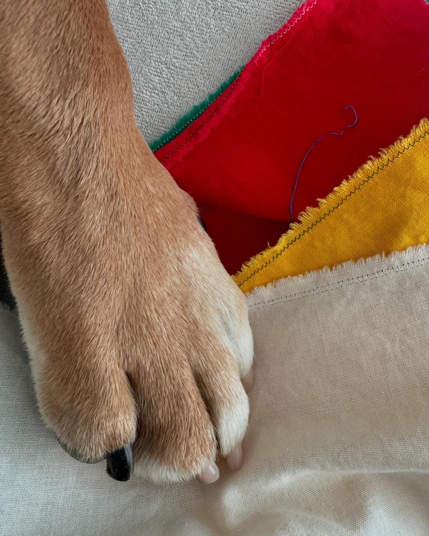 Farb -und Elemente Balance f&uuml;r Dante💕

#tierkinesiologie #farbbalance #elementebalance #akupressur #allergie #allergiebeimhund #ganzheitlich #emotionalerstressabbau #harmonie #balance #withlove #dankbar