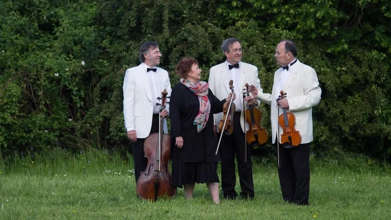 String Quartet are standing on the grass with their instruments