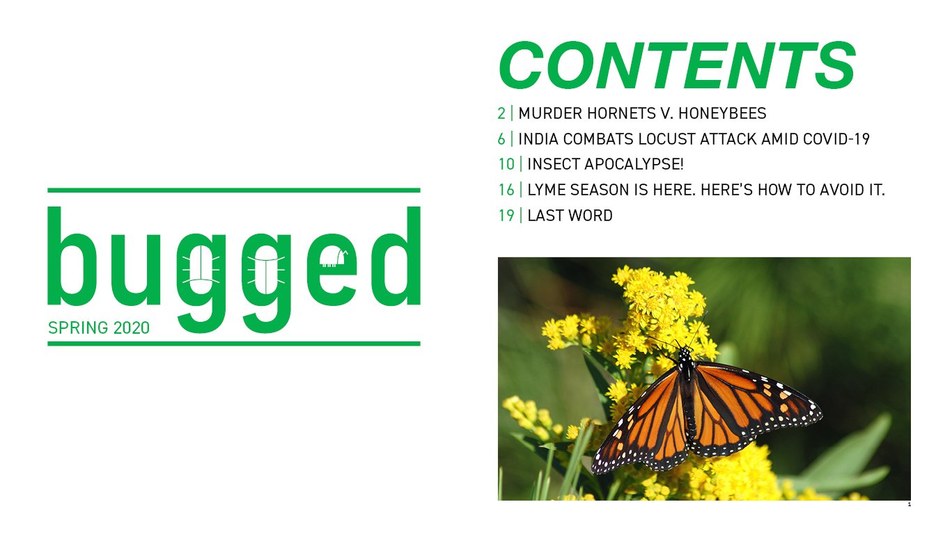 bugged spreads2.jpg