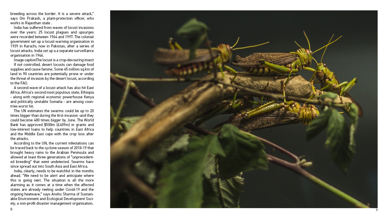 bugged spreads6.jpg