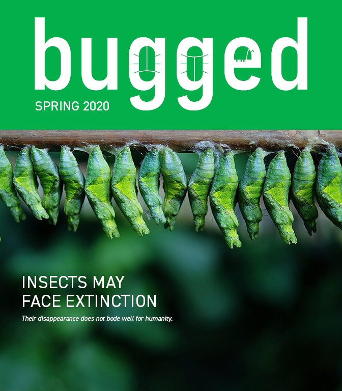 bugged spreads.jpg
