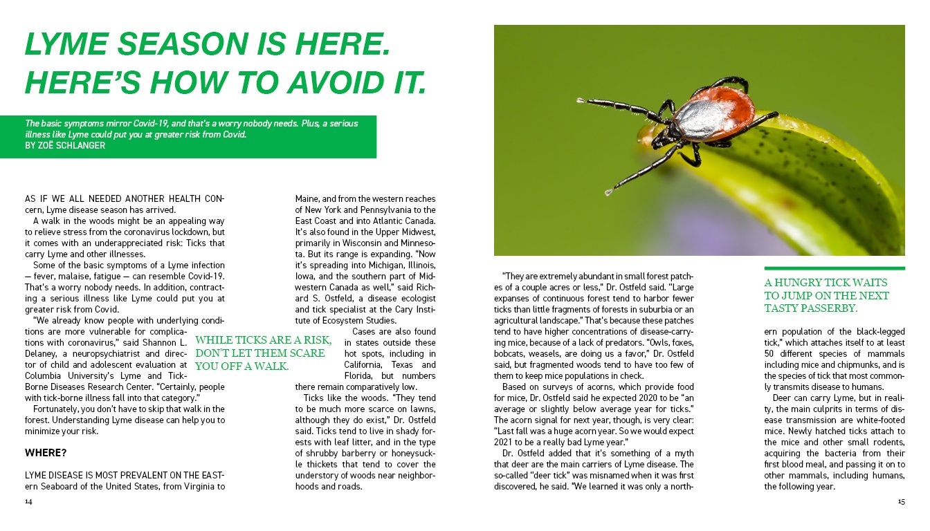 bugged spreads9.jpg