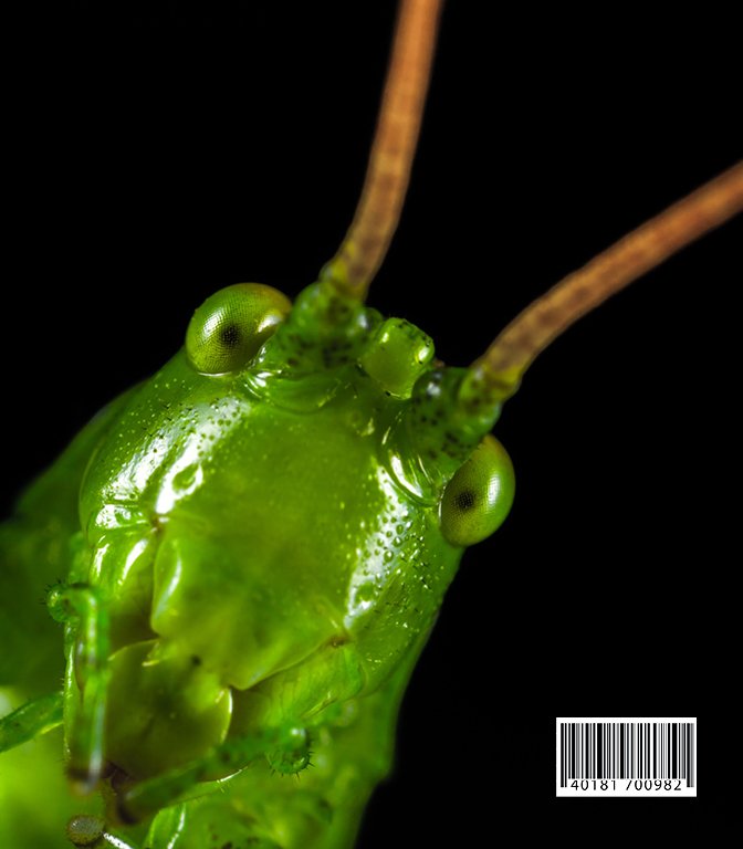 bugged spreads11.jpg