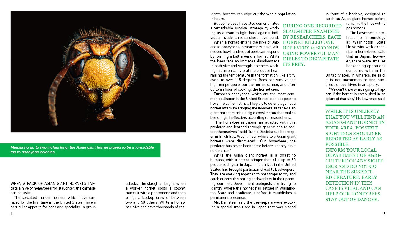 bugged spreads4.jpg