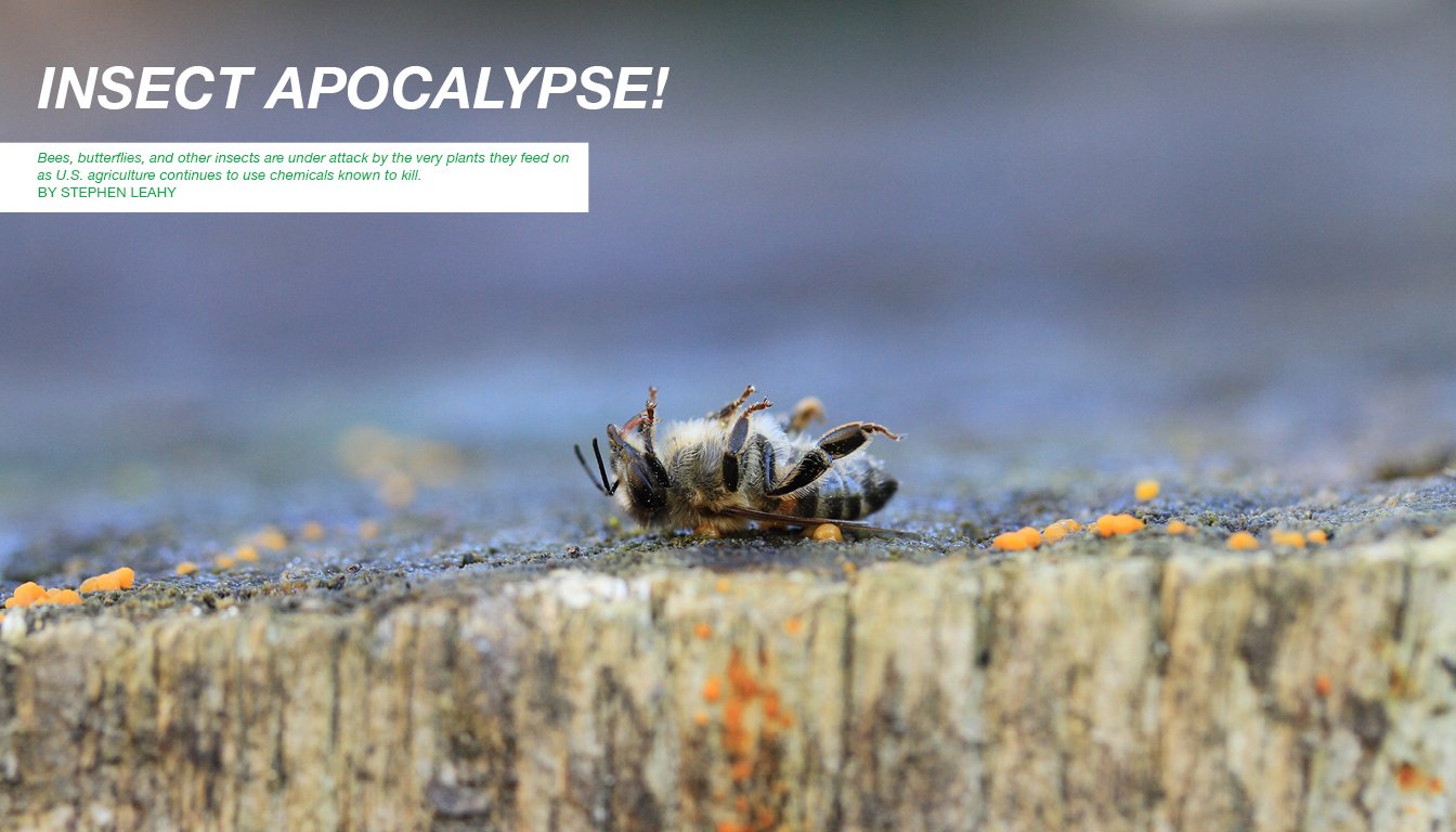 bugged spreads7.jpg