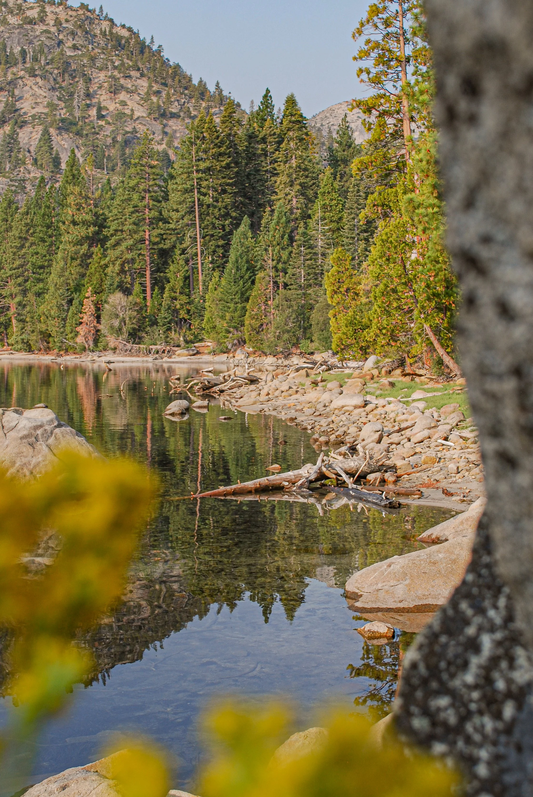 DSC_1217-2.jpg