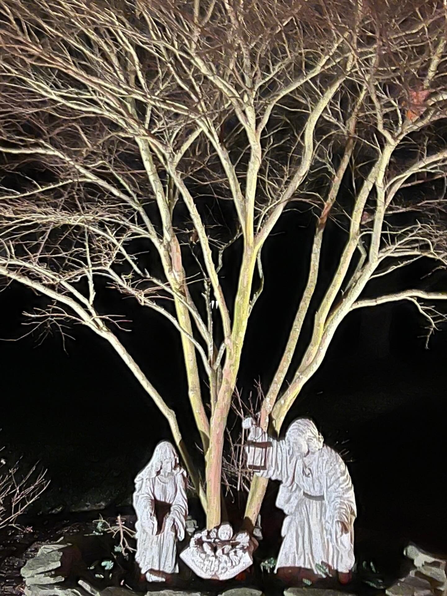 &ldquo;Glory to God in the highest, and on earth peace, good will toward all.&rdquo; 

Merry Christmas! On this blessed day, let us celebrate the joy of the season, the gift of love, and the beauty of togetherness. May peace fill your hearts, kindnes