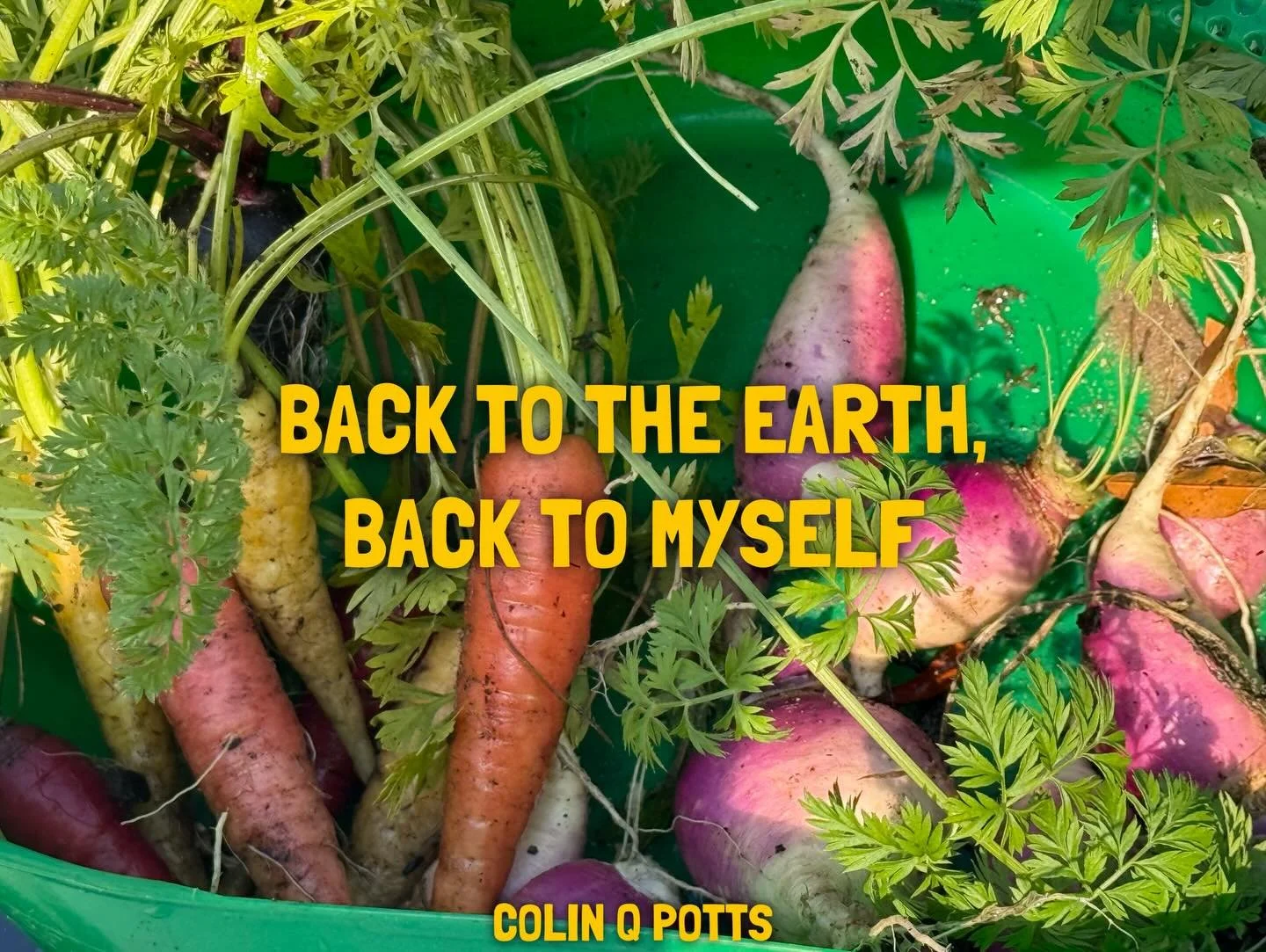 BACK TO THE EARTH, BACK TO MYSELF

I realized just how much I&rsquo;ve missed being outside&mdash;and especially my garden. Yesterday, I spent several hours cleaning up the yard and tending to my beds, and it felt incredible. I was so happy to see ho