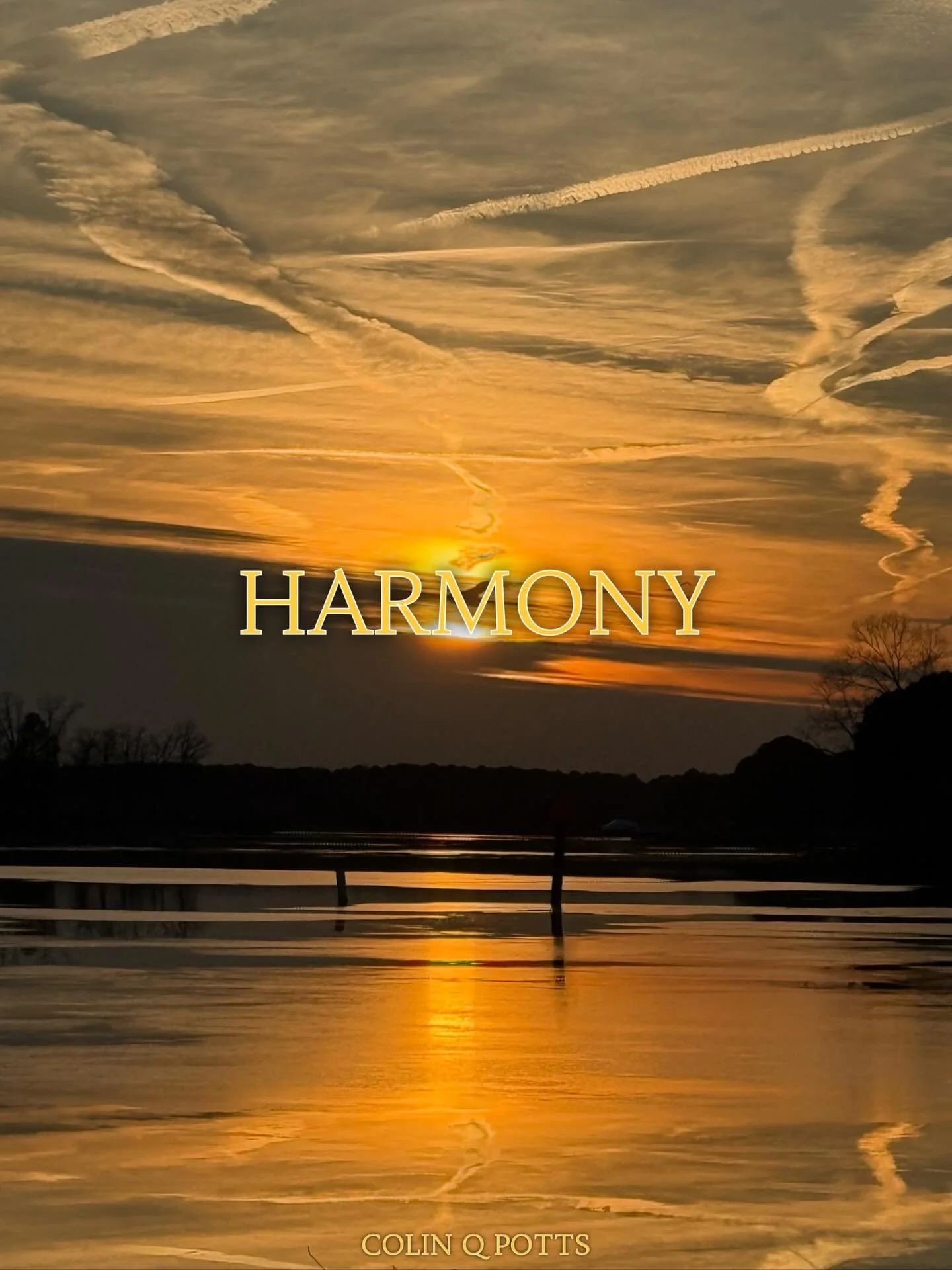 &ldquo;He who lives in harmony with himself lives in harmony with the universe.&rdquo; &mdash; Marcus Aurelius

My Positivity Revolution doesn&rsquo;t start with the world. It starts with doing the hard work inside.

Harmony isn&rsquo;t comfort. It&r
