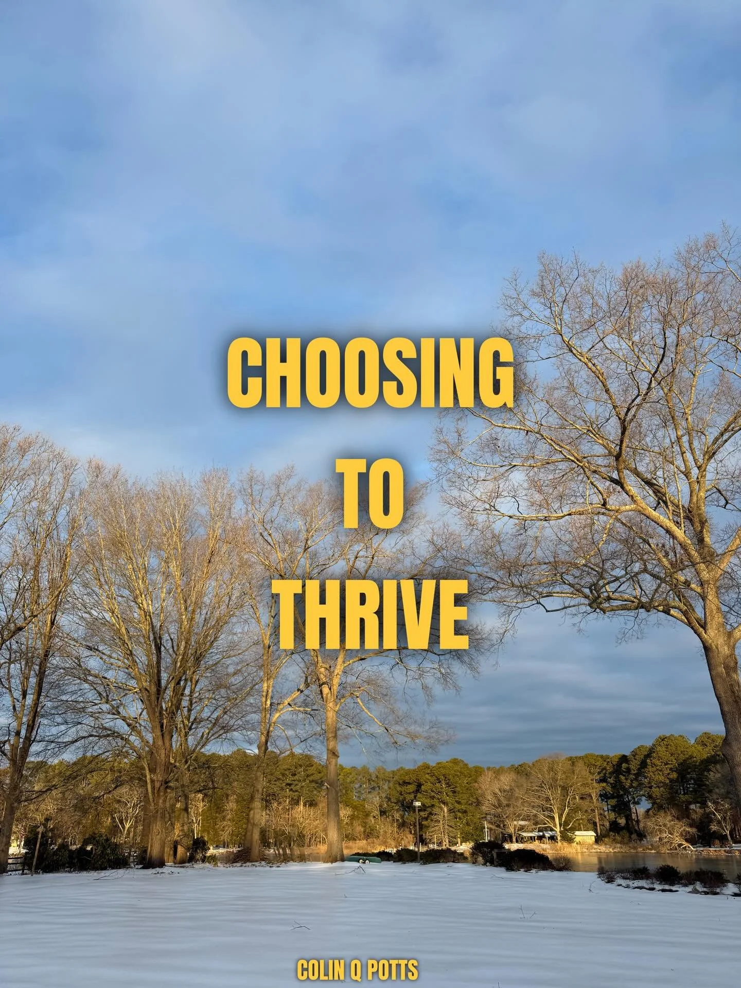 Choosing to Thrive

Thriving is choosing joy, spreading positivity, and believing in the possibilities of a new day. It&rsquo;s finding strength in challenges and meaning in every interaction. Today, I choose to thrive by giving my best and learning 