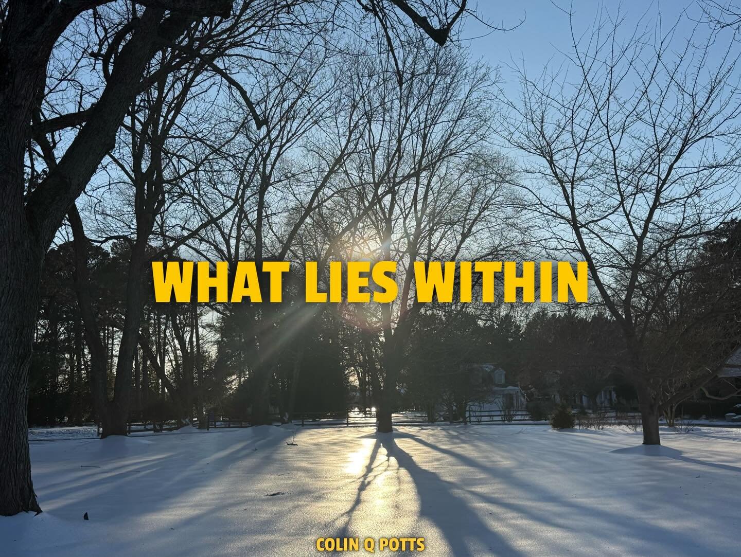 What Lies Within

What lies behind us and what lies ahead of us are tiny matters compared to what lies within us. &mdash; Ralph Waldo Emerson

For all that I&rsquo;ve lost in life, I&rsquo;ve learned this: the strength we need is already inside us. W