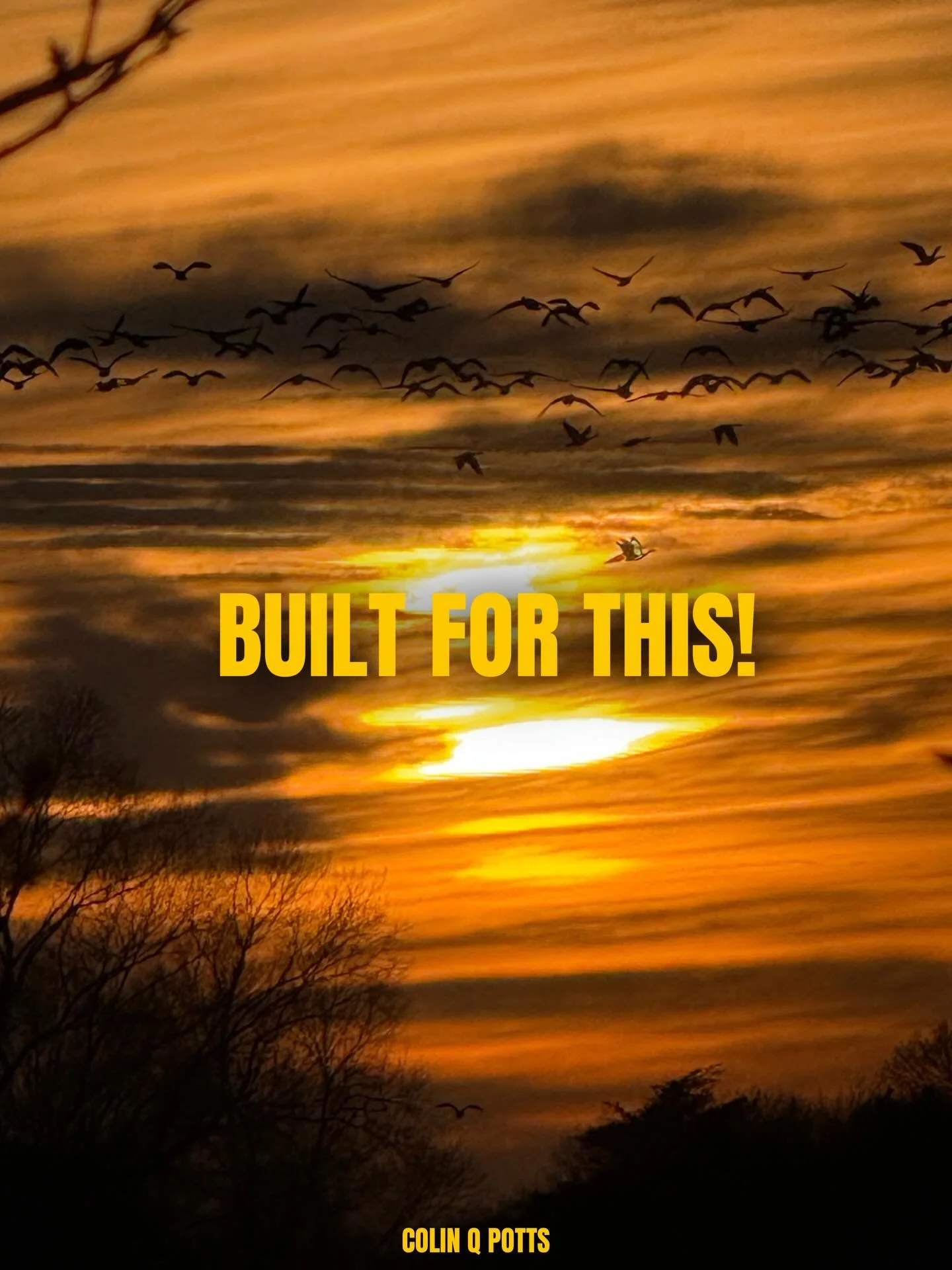 Built for This

In life, we&rsquo;re going to hit obstacles that feel impossible. But it&rsquo;s in those moments&mdash;when it&rsquo;s heavy, messy, and uncomfortable&mdash;that we find out what we&rsquo;re truly made of. Every challenge is an oppor