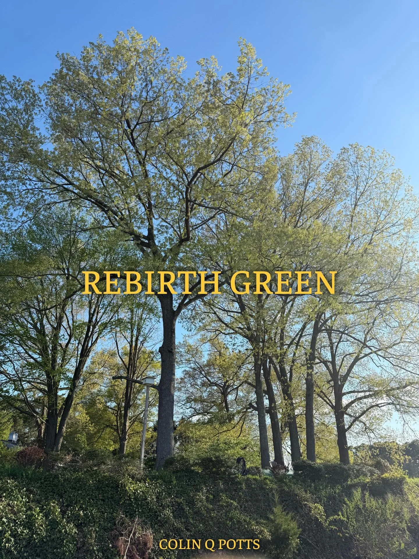&ldquo;An optimist is the human personification of Spring.&rdquo; &mdash; Susan J. Bissonette

I saw this quote and had to smile.

After spending time in the garden last weekend, I could not agree more. All around the cove, nature was waking up. I lo