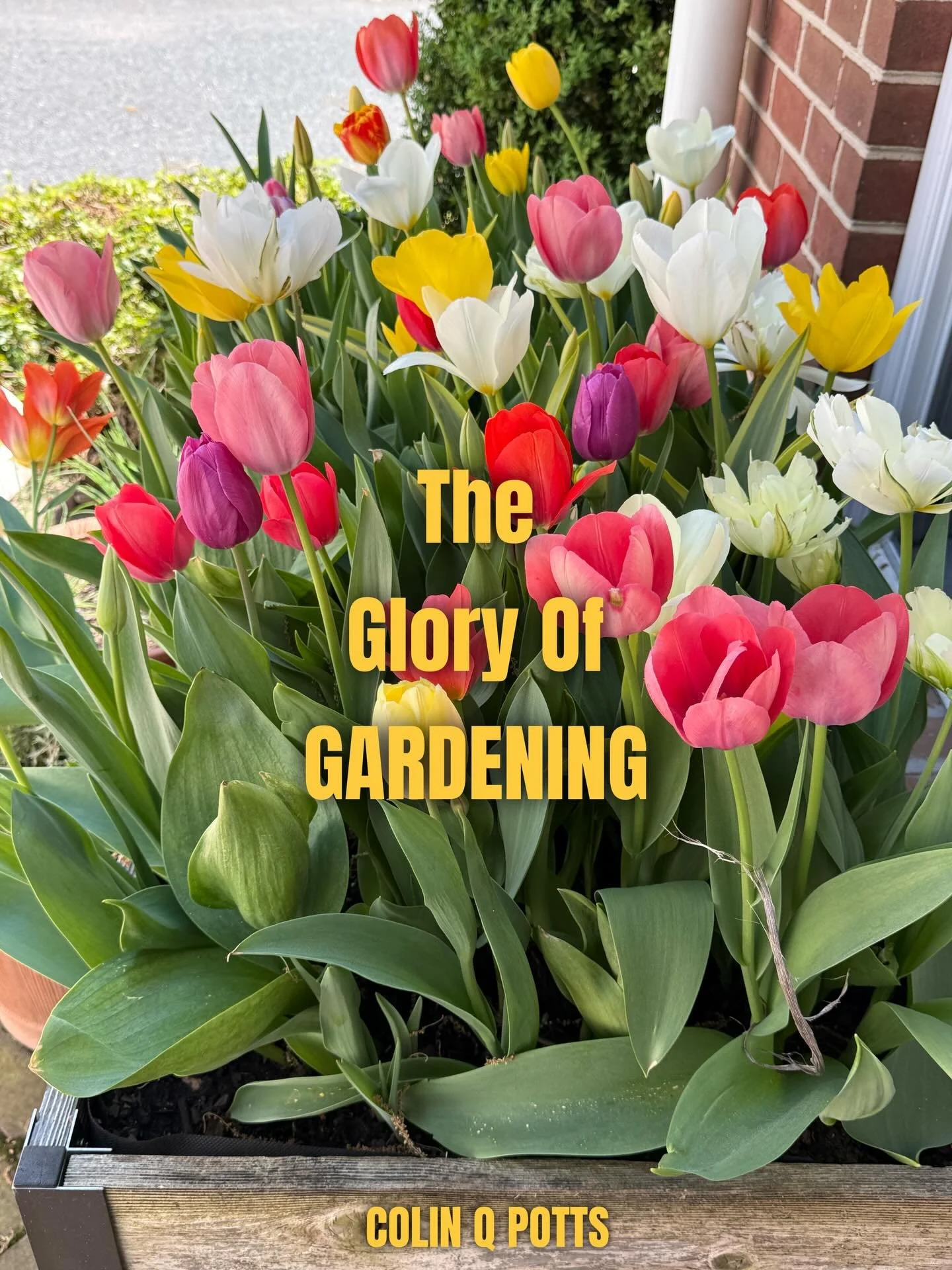 &ldquo;The glory of gardening: hands in the dirt, head in the sun, heart with nature. To nurture a garden is to feed not just the body, but the soul.&rdquo; &ndash; Alfred Austin

I couldn&rsquo;t agree more! Grow a garden! 
Happy Tuesday!! Keep smil