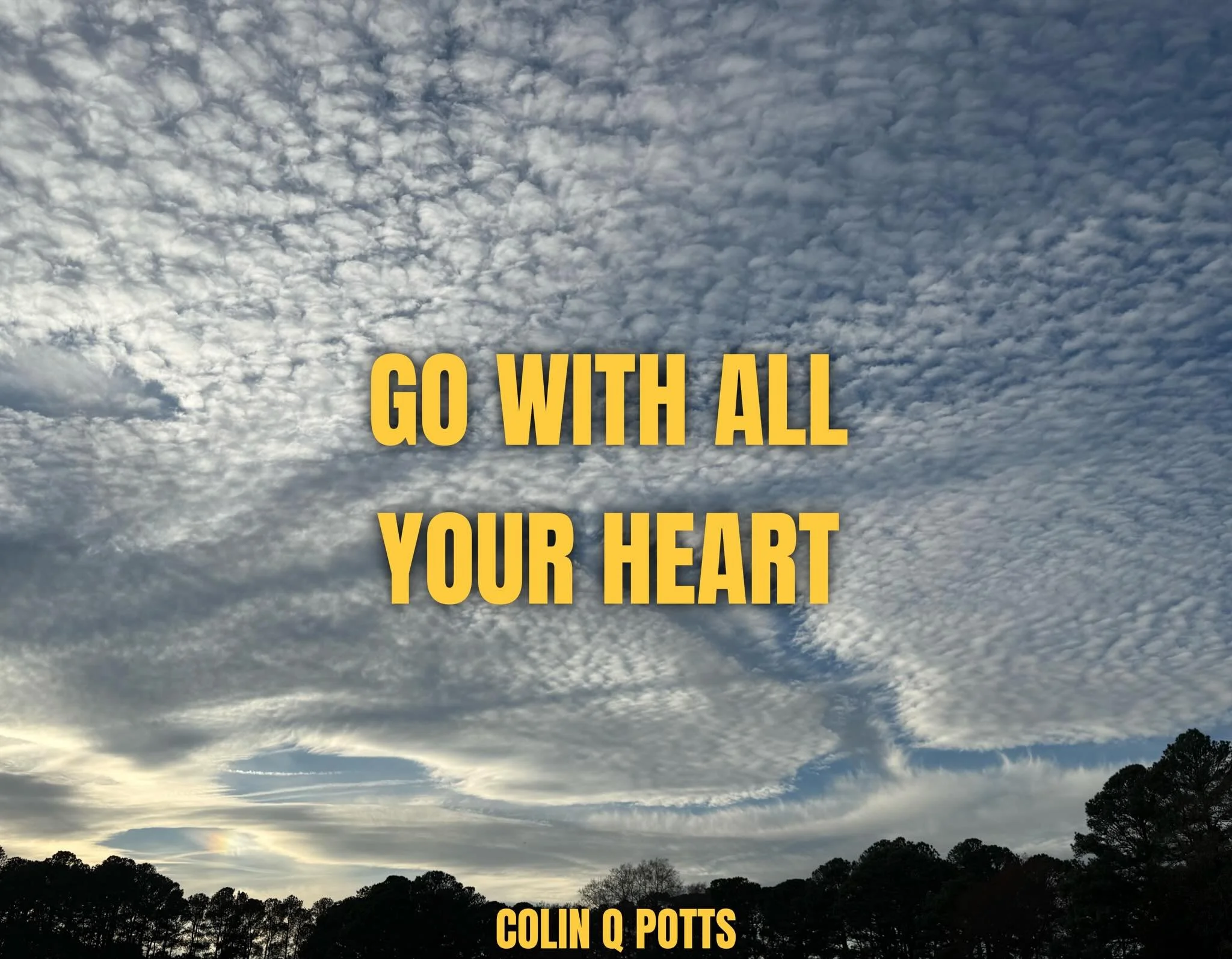 &ldquo;Wherever you go, go with all your heart.&rdquo;
&mdash; Confucius

This is such a meaningful and inspiring quote.

In life, experience and loss can knock us down and, many times, shake us to our core. When we begin to pick ourselves back up, i