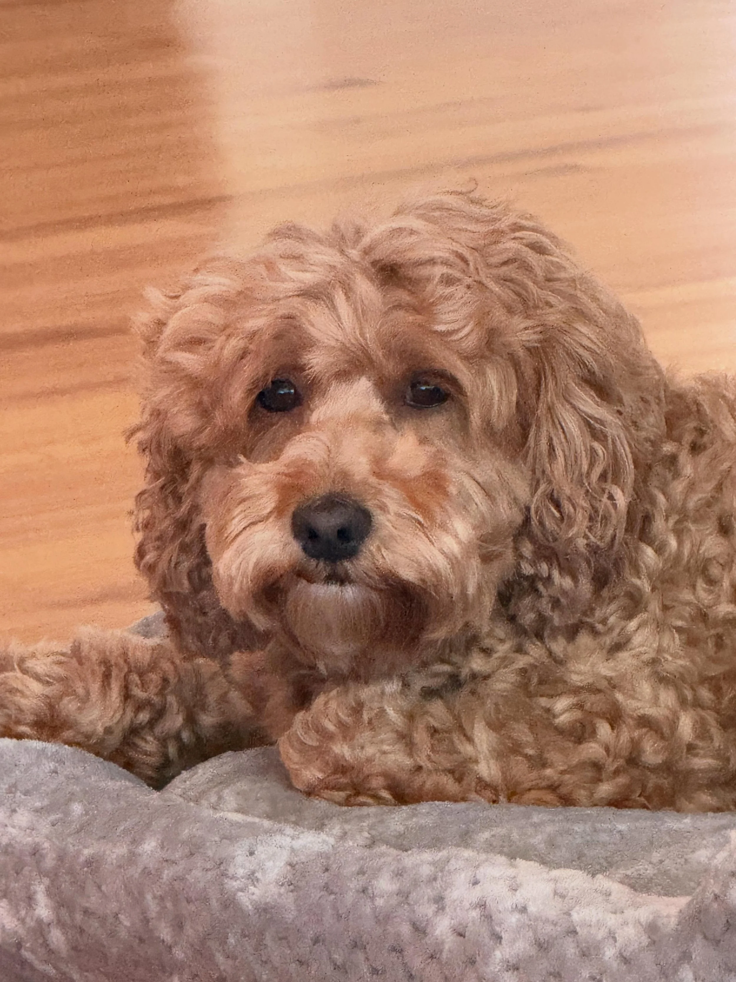 Meet Bitty Potts! We adopted her on Friday. She&rsquo;s little, but has a giant heart! Bitty is the sweetest animal I have ever met. It&rsquo;s so much fun having her energy in the house. Happy Mother&rsquo;s Day to all the moms! Happy Sunday! Keep s