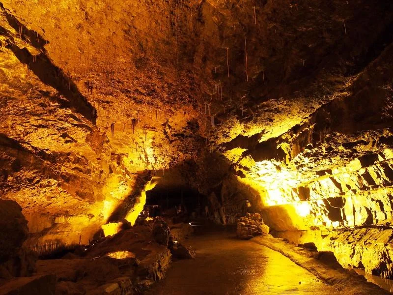 Walk through the beautifully decorated passageways, or the enormous passageways of Cathedral Cave, carved out millions of years ago, ending with a walk behind the 40 feet high waterfalls that cascade around you, an atmospheric end to a truly wonderfu