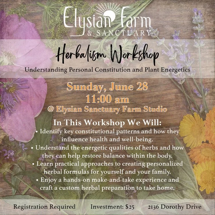 Herbalism Workshop: Understanding Personal Constitution and Plant Energetics