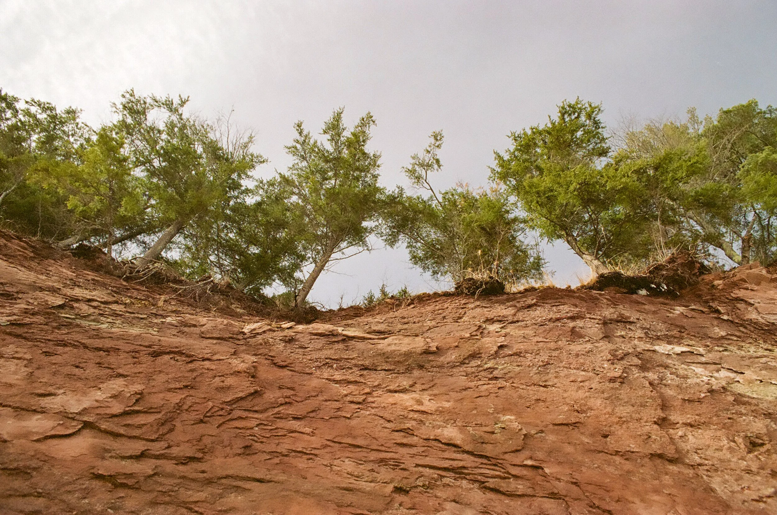 Snowmelt | April 2022