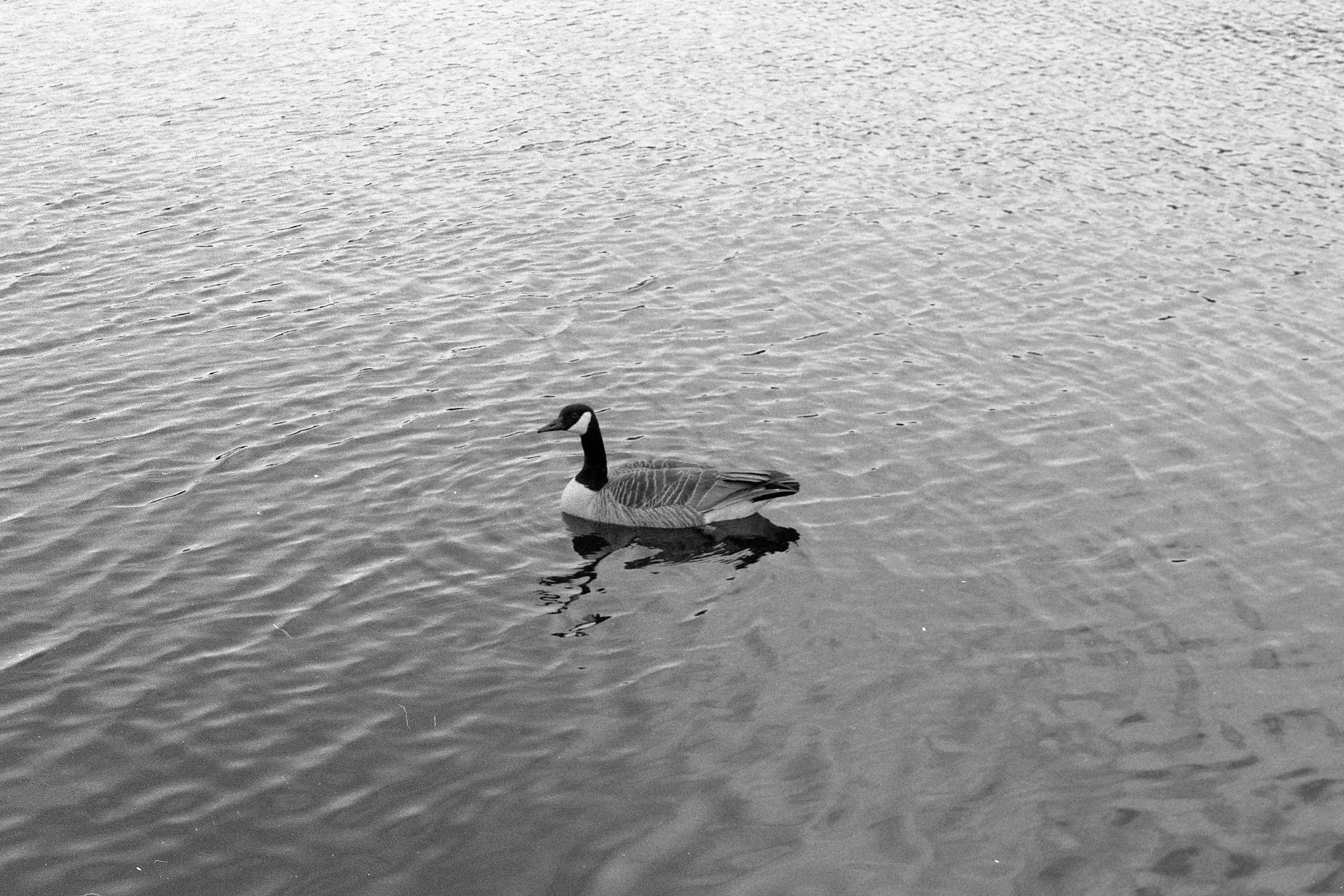 Spring in Marquette | April 2021