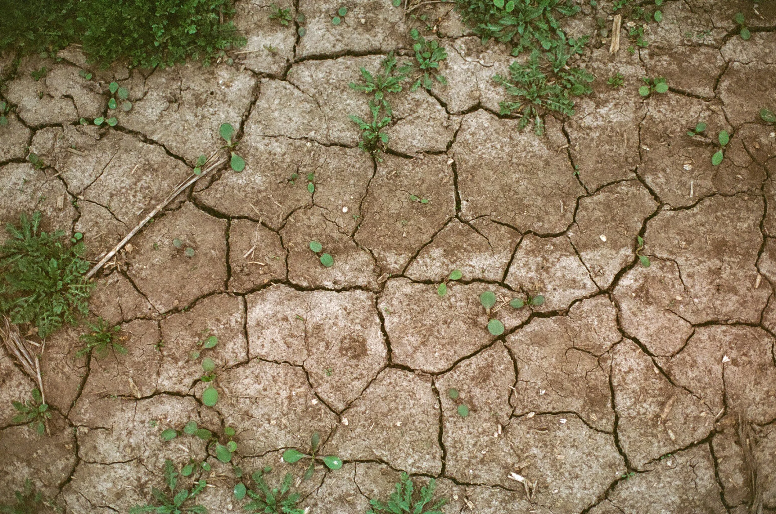 In the country | May 2022