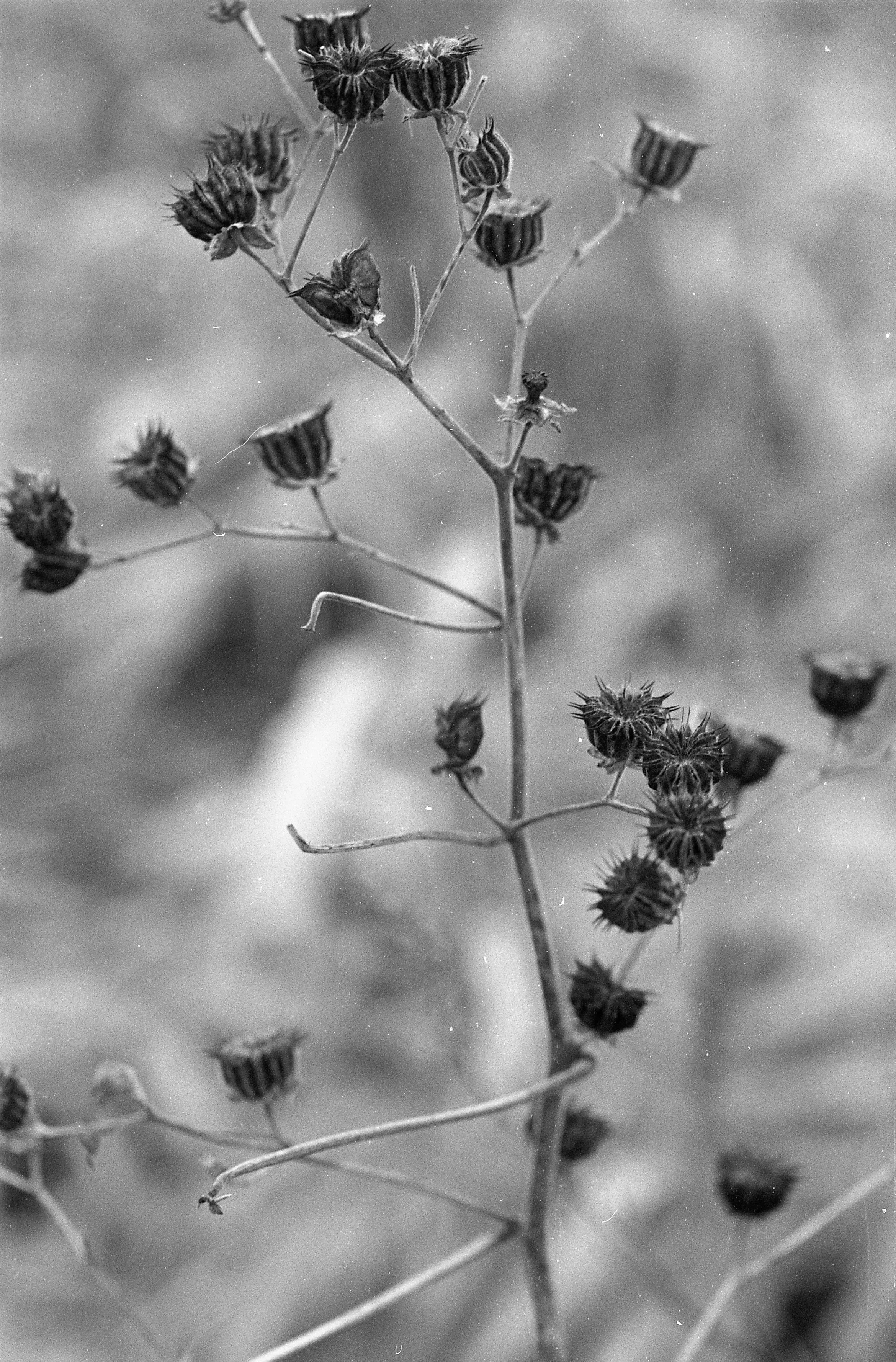 Winter Break | December 2021