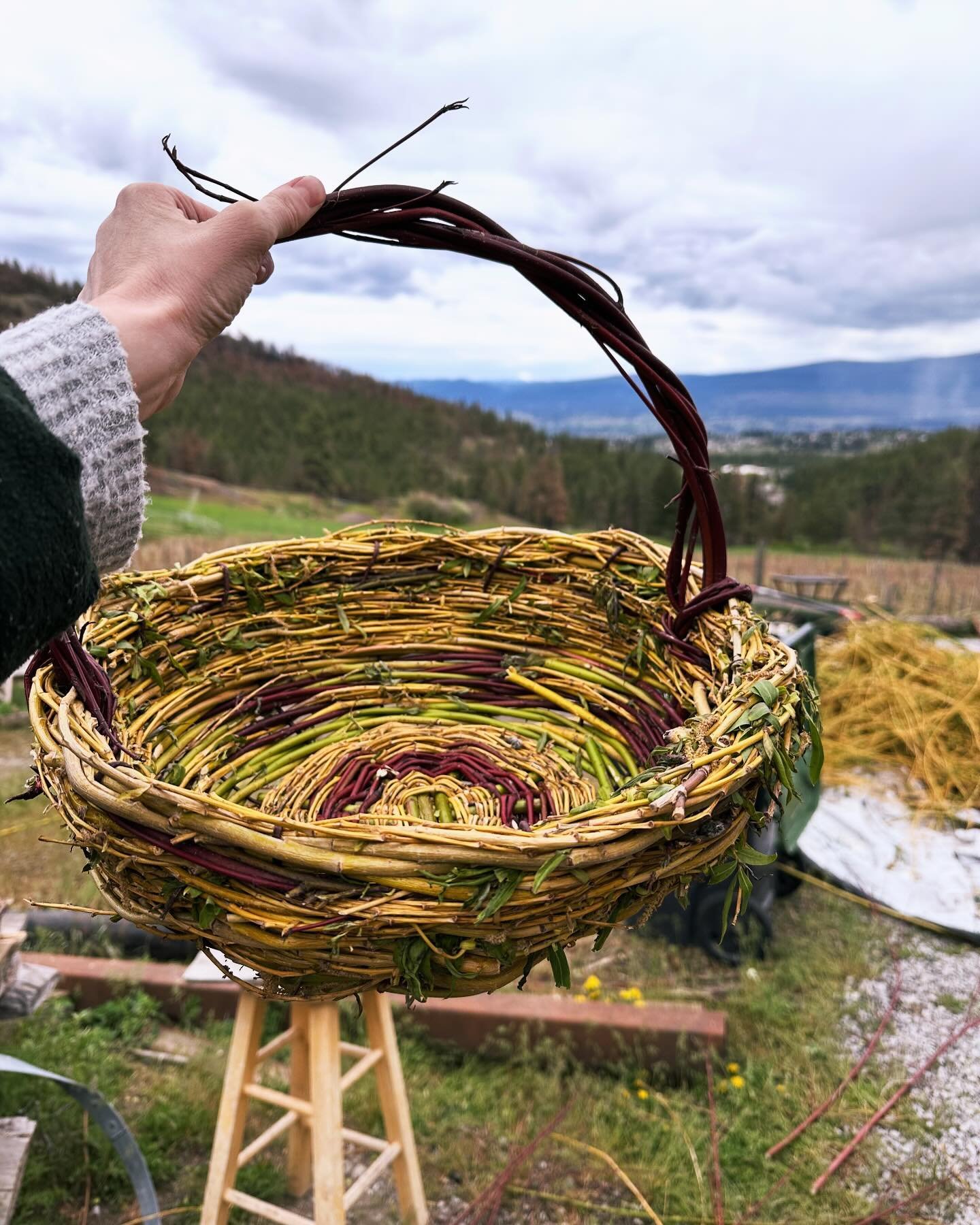 Tried something totally new this weekend! Weaving baskets! 🥰☀️ A very meditative, enjoyable and useful skill. 12/10 would recommend. Can&rsquo;t wait to make some tiny ones!! #basketweaving #earthlove #backtobasics
